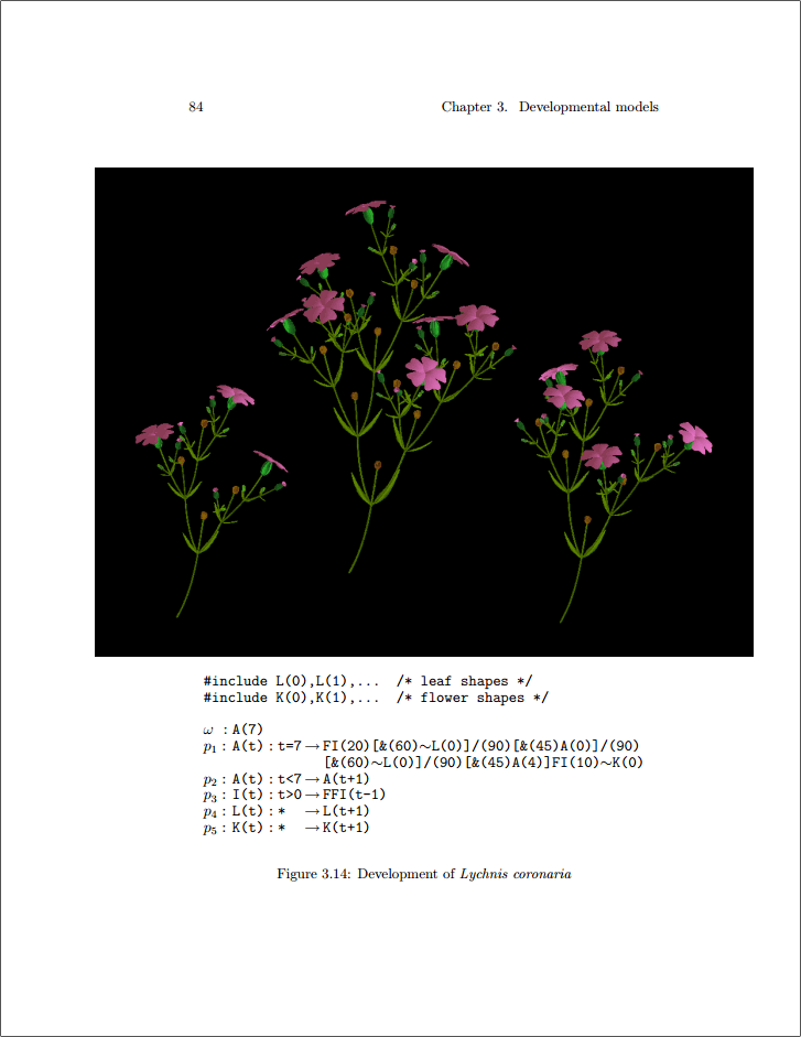 The Algorithmic Beauty of Plants by Przemyslaw Prusinkiewicz and Aristid Lindenmayer 1990