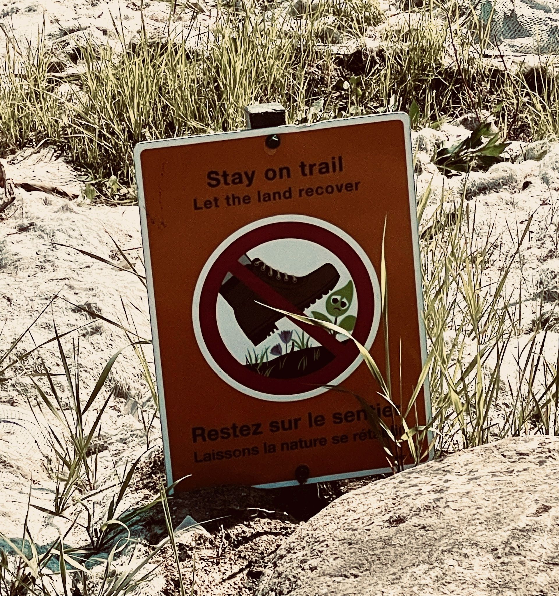 Stay on trail
