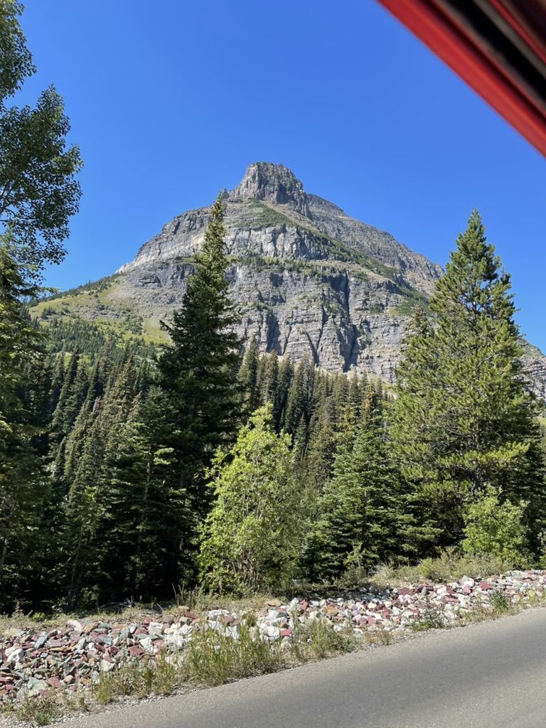 0266D648-A9EF-49A9-8802-2B348A327364_1_105_c.jpeg