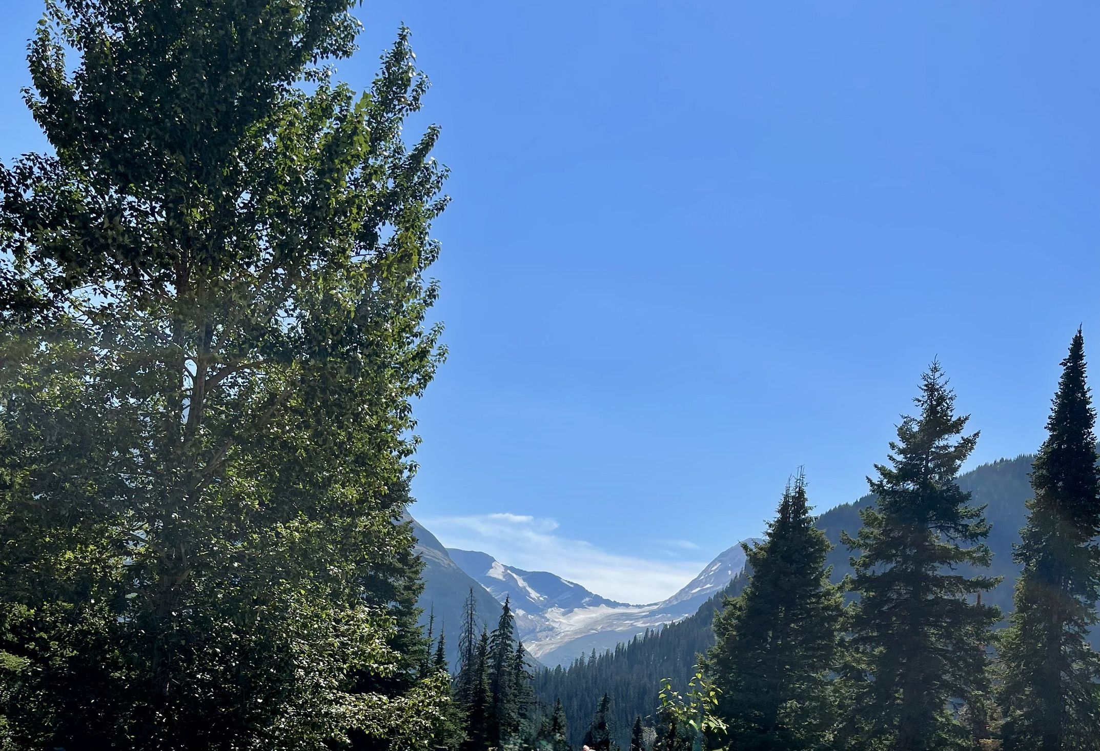 7D6E5880-2DA9-485B-81E6-A8D7CE461F6C_1_102_a.jpeg
