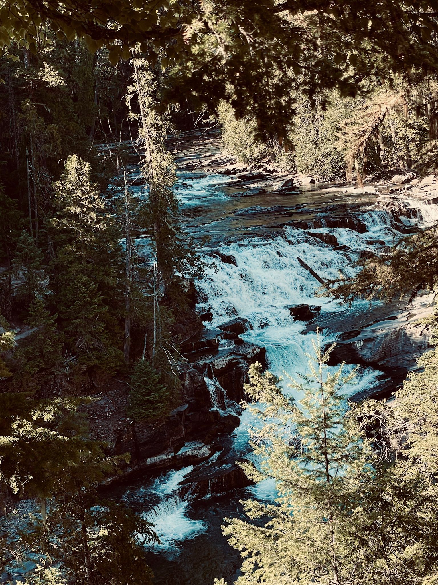 233D54A0-2D5F-4C12-B041-C7EB47517AE1.JPG
