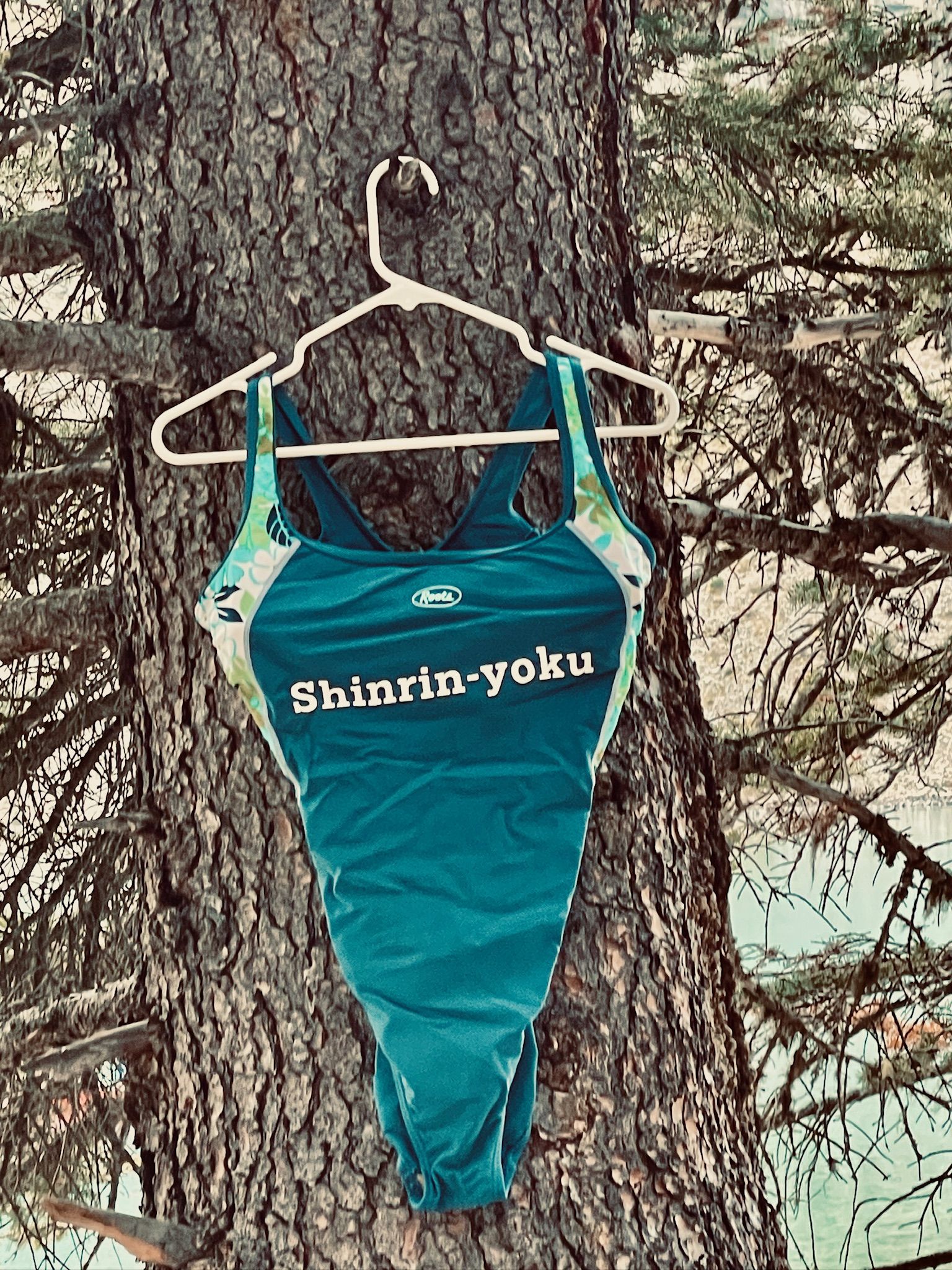 Shinrin-yoku