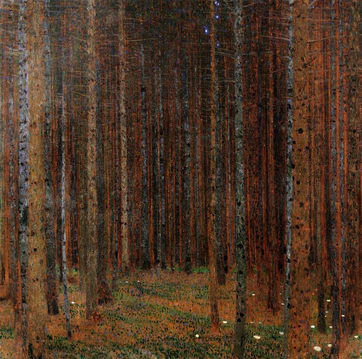 Tannenwald, 1901