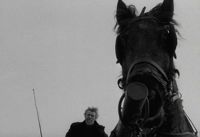 A still from Béla Tarr’s film ‘The Turin Horse’