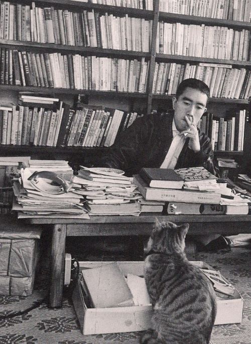 Mishima with Cat