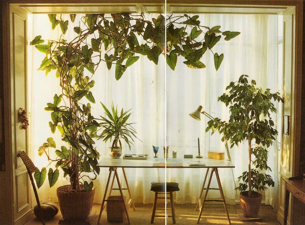 Decorating-with-Plants-1986.jpg