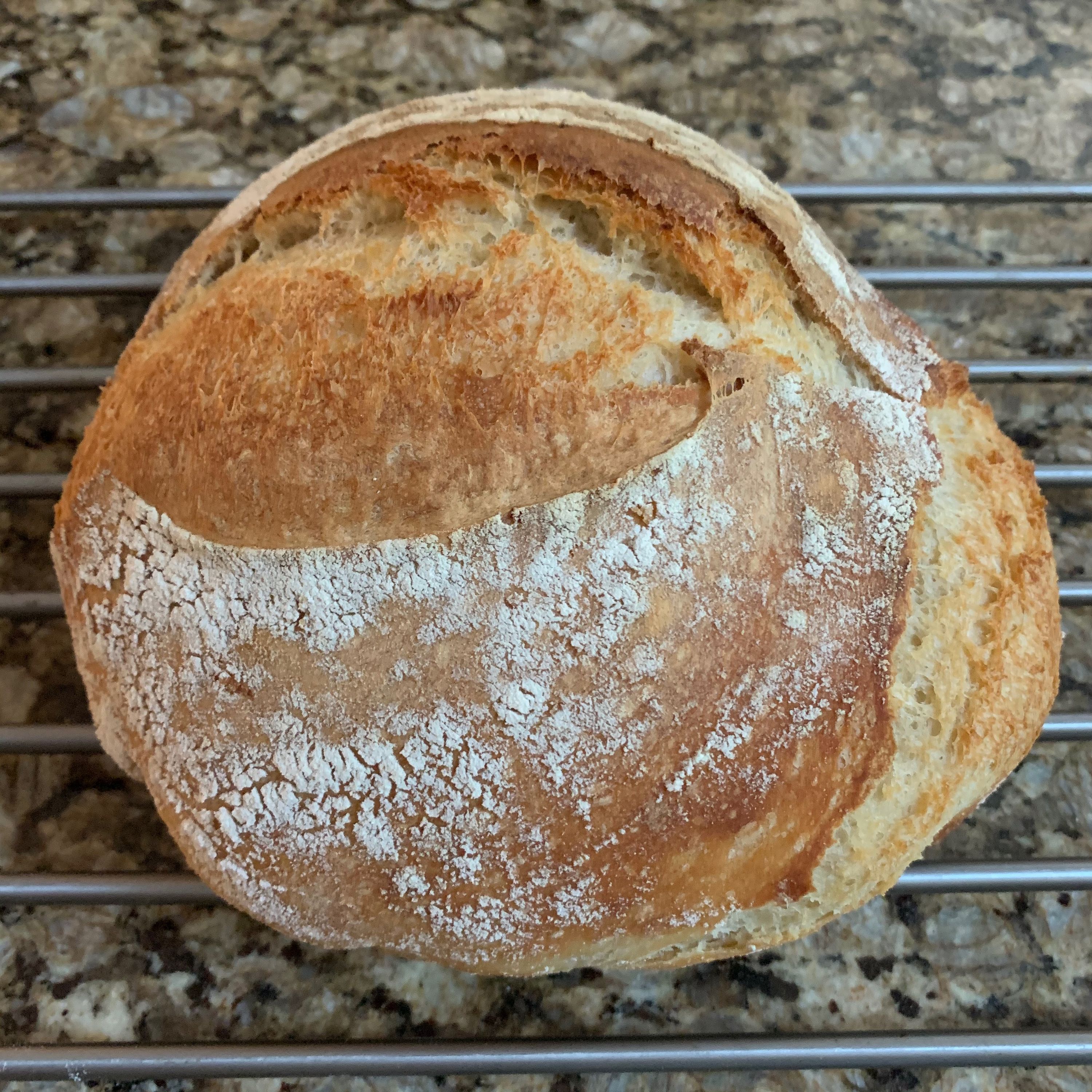 sourdough