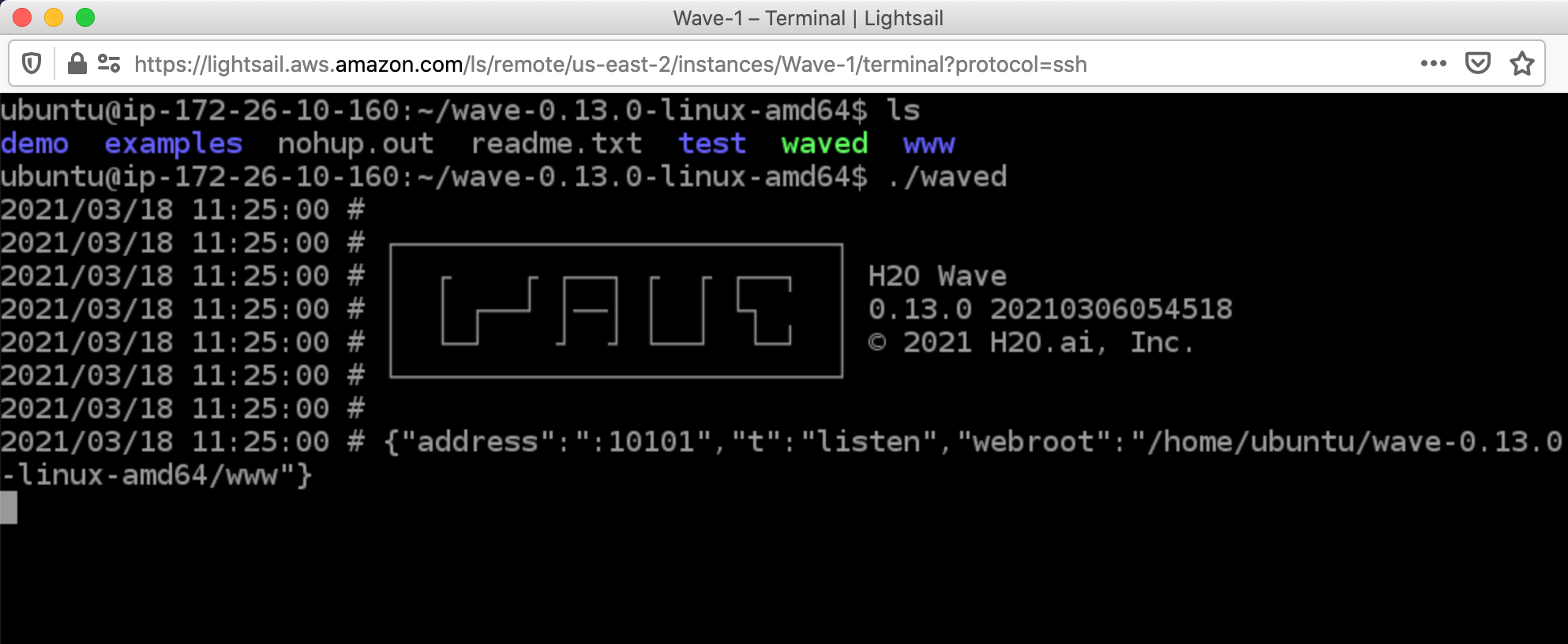 Running H2O Wave Server