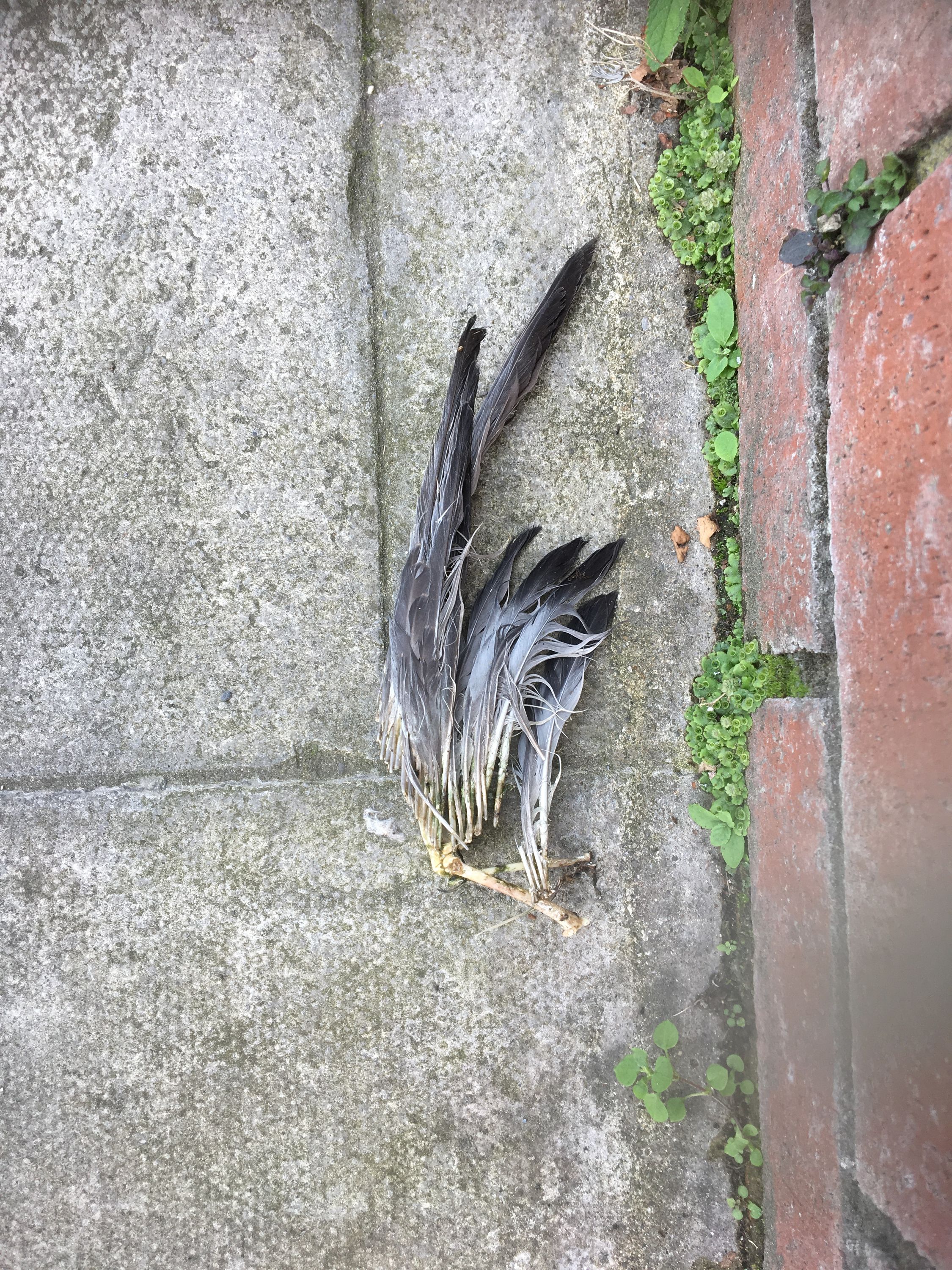 photo 22-08-2019, 17 56 03