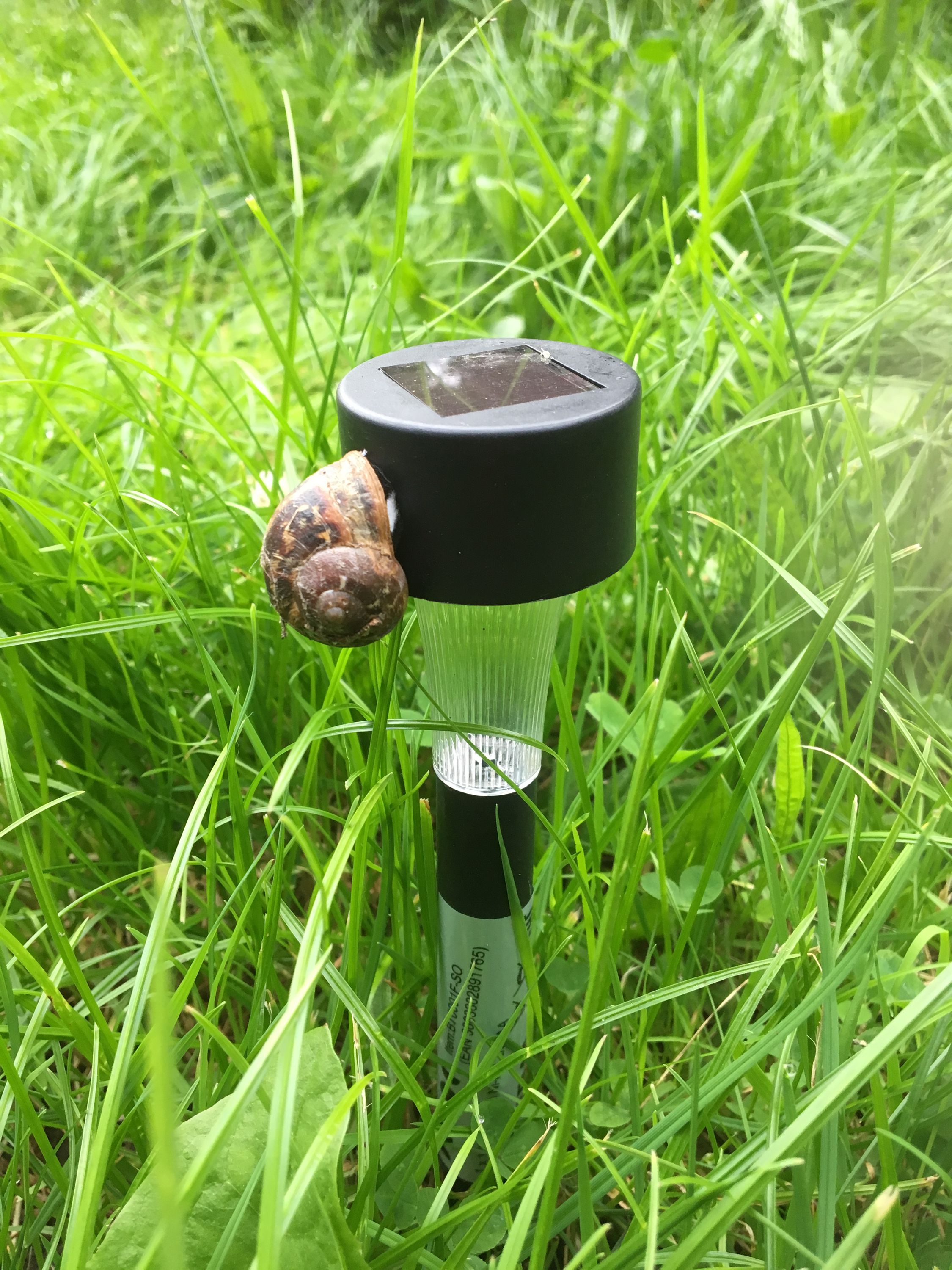 photo 08-07-2019, 06 23 26