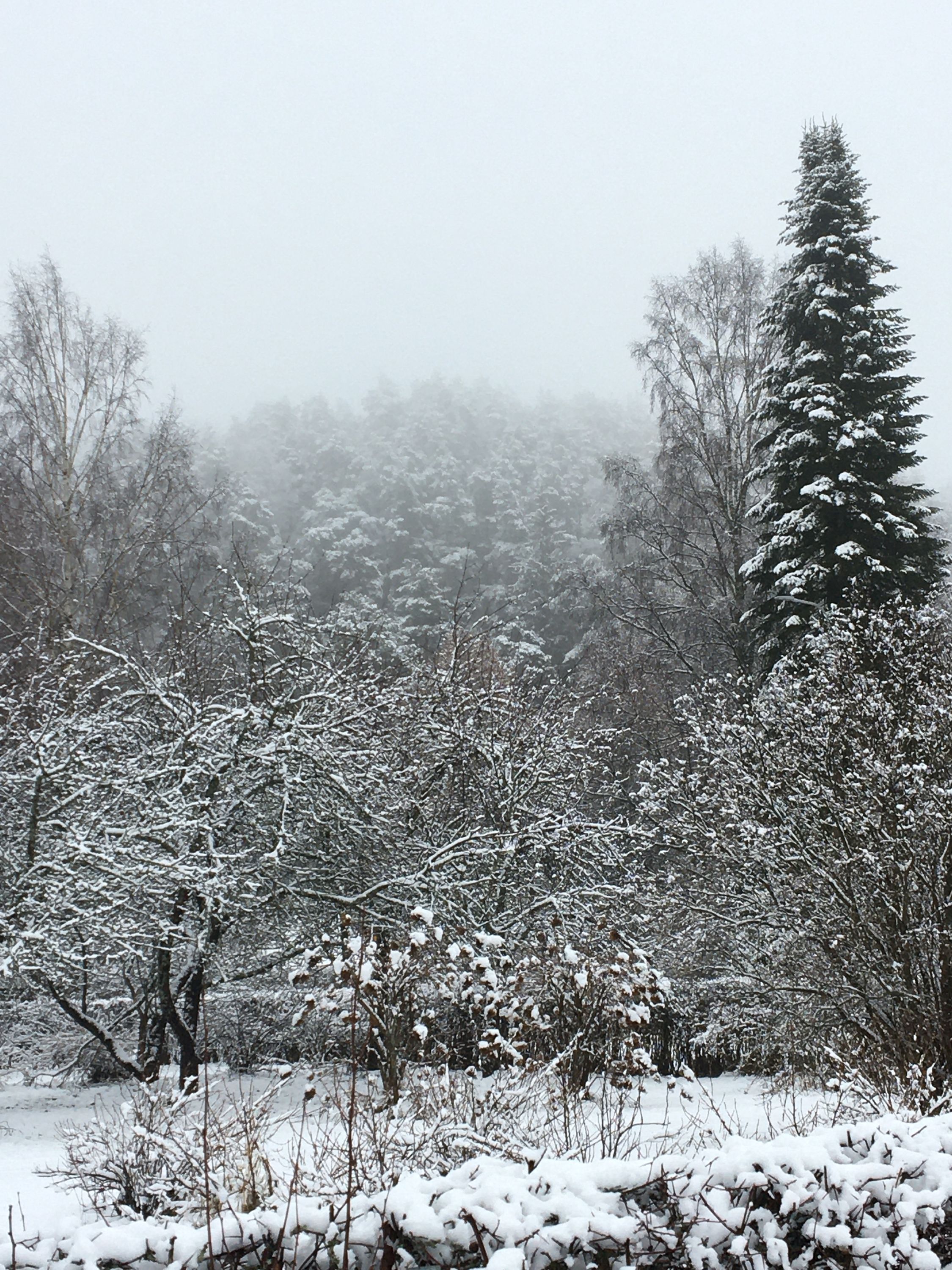 photo 25-12-2019, 13 01 59