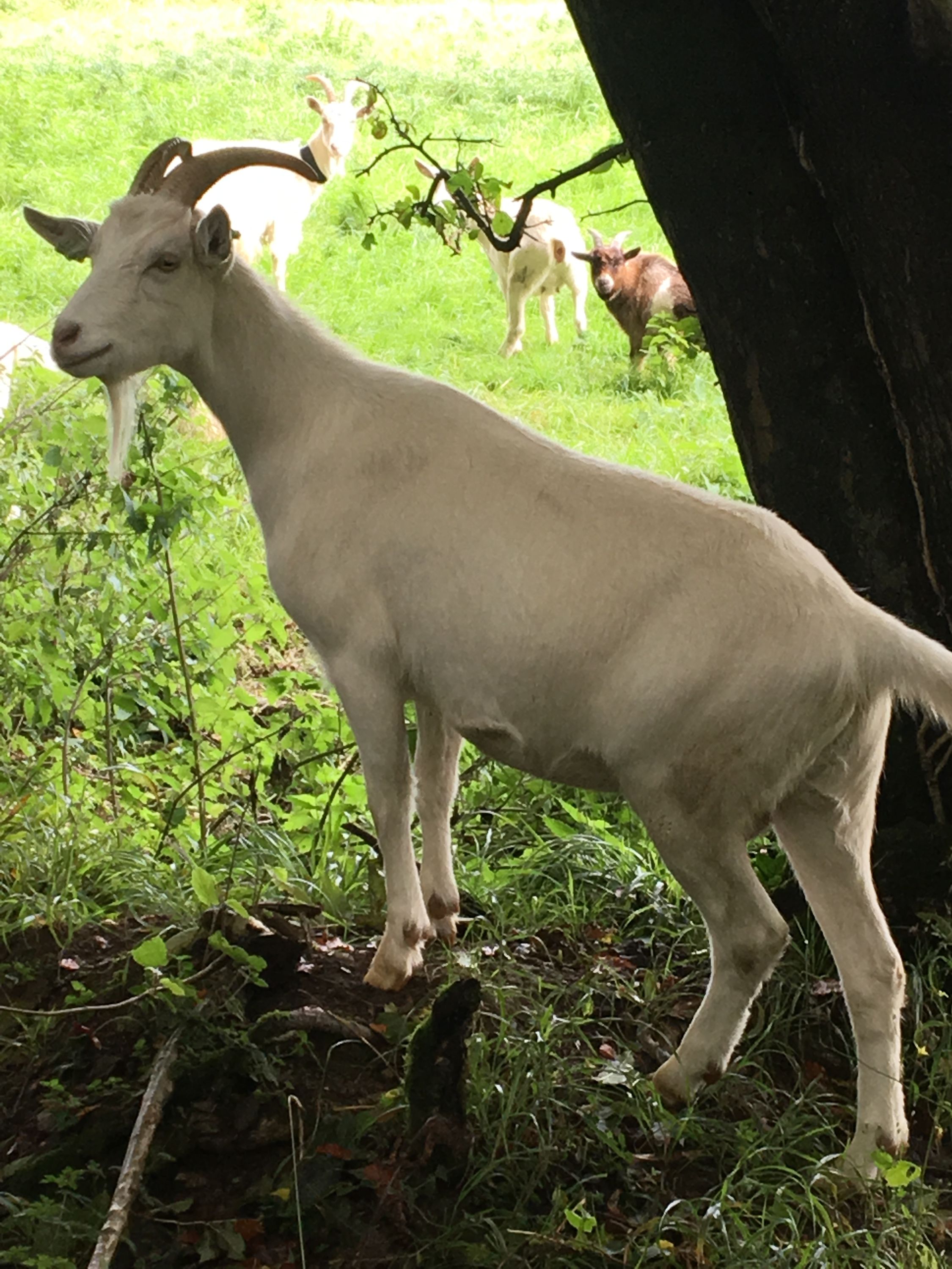 photo 29-09-2019, 14 25 40