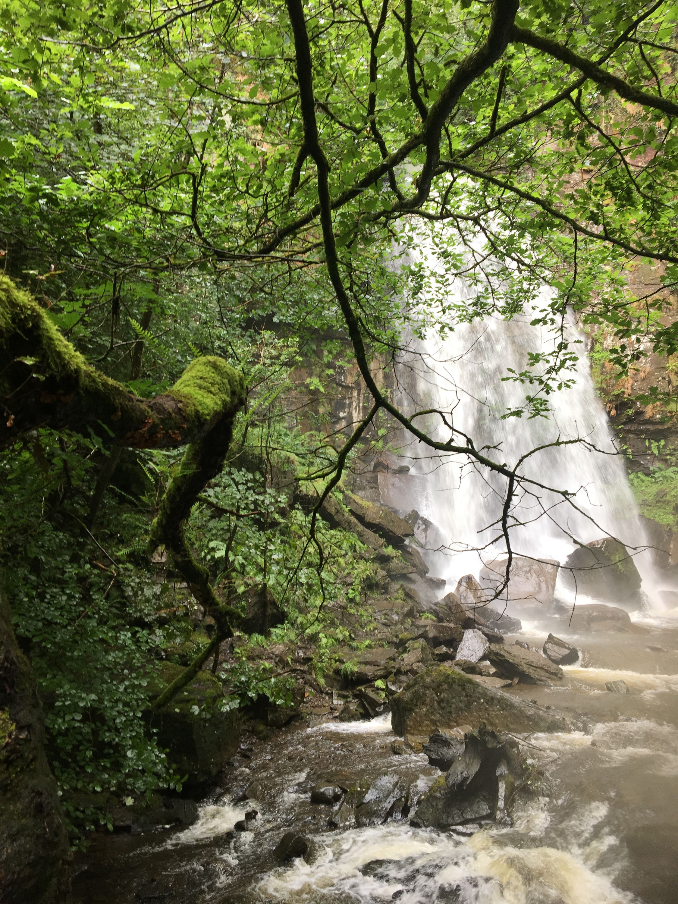 photo 11-08-2019, 12 37 43
