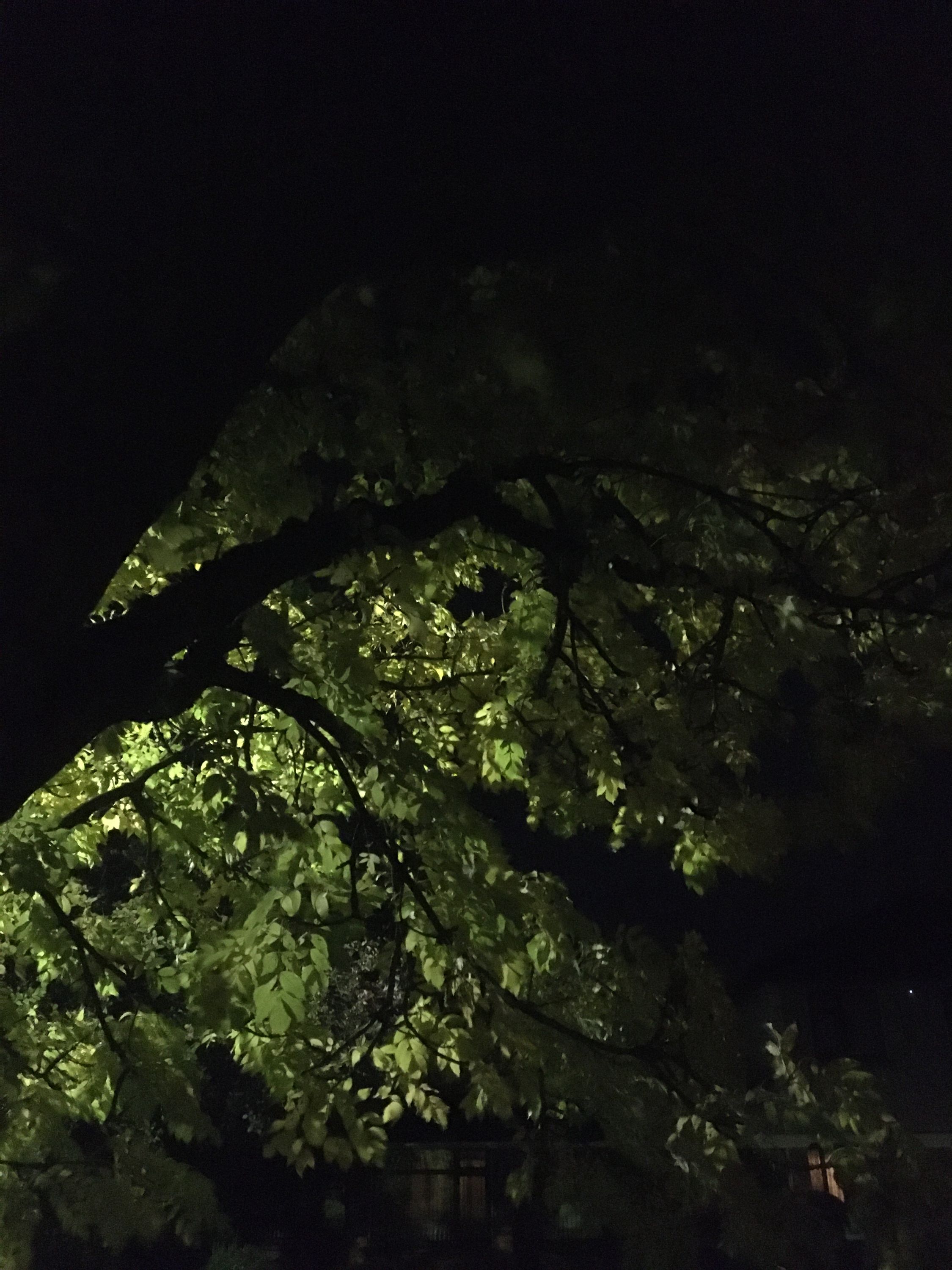 photo 11-10-2019, 21 21 13