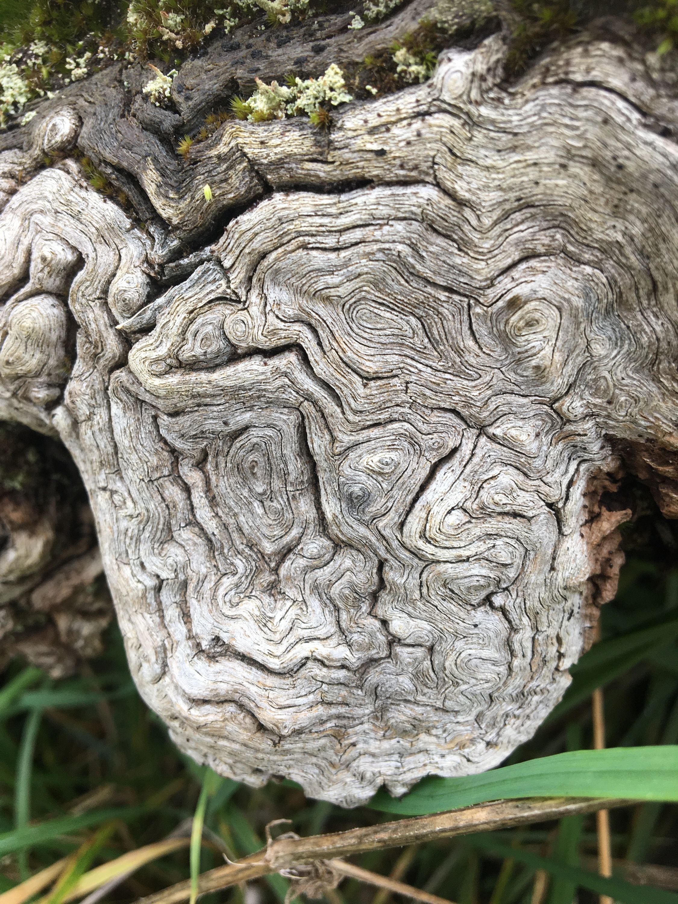 photo 10-11-2019, 13 25 18