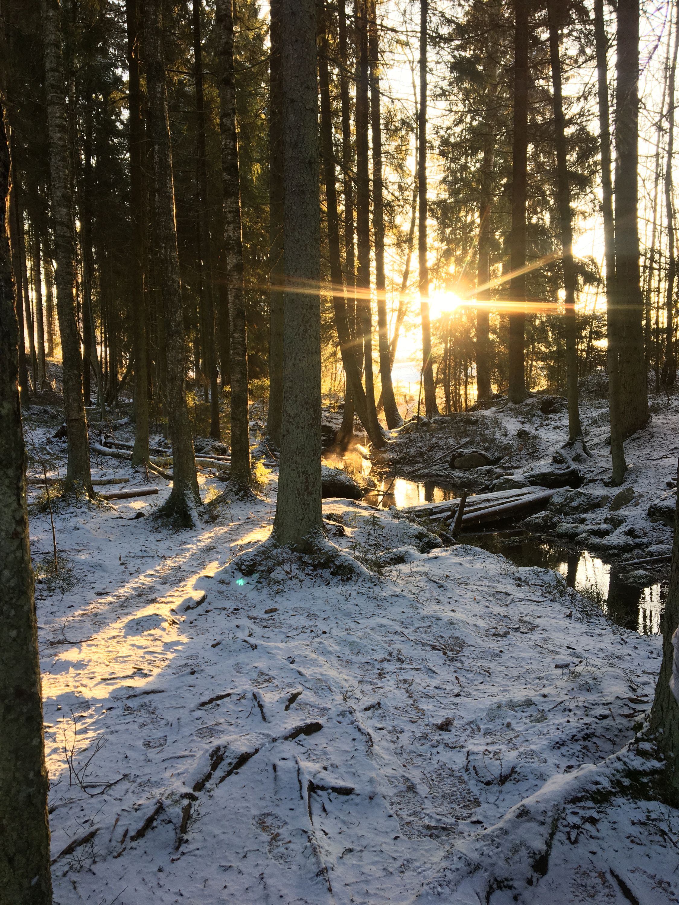 photo 28-12-2019, 12 14 27