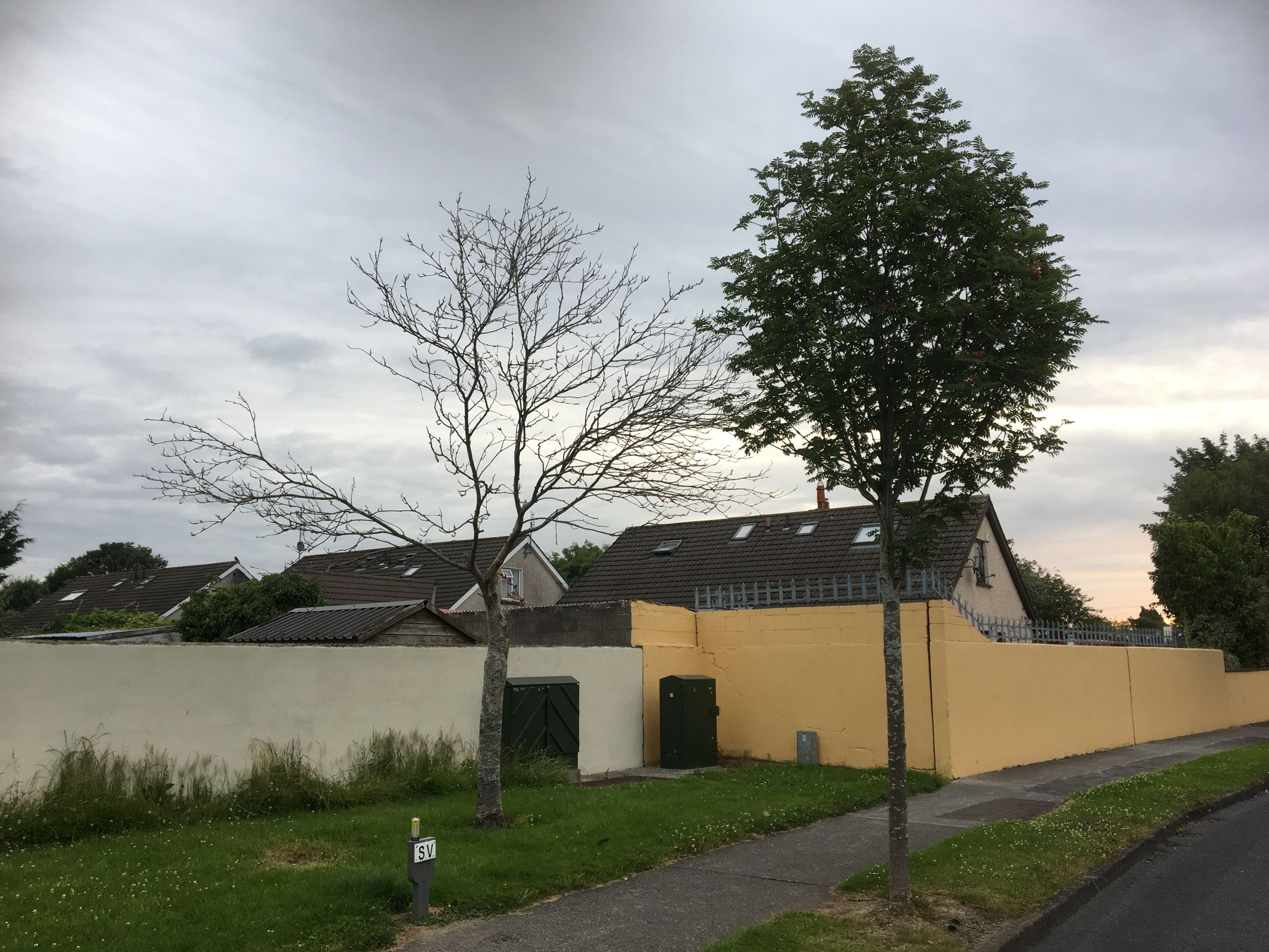 photo 08-07-2019, 05 51 42