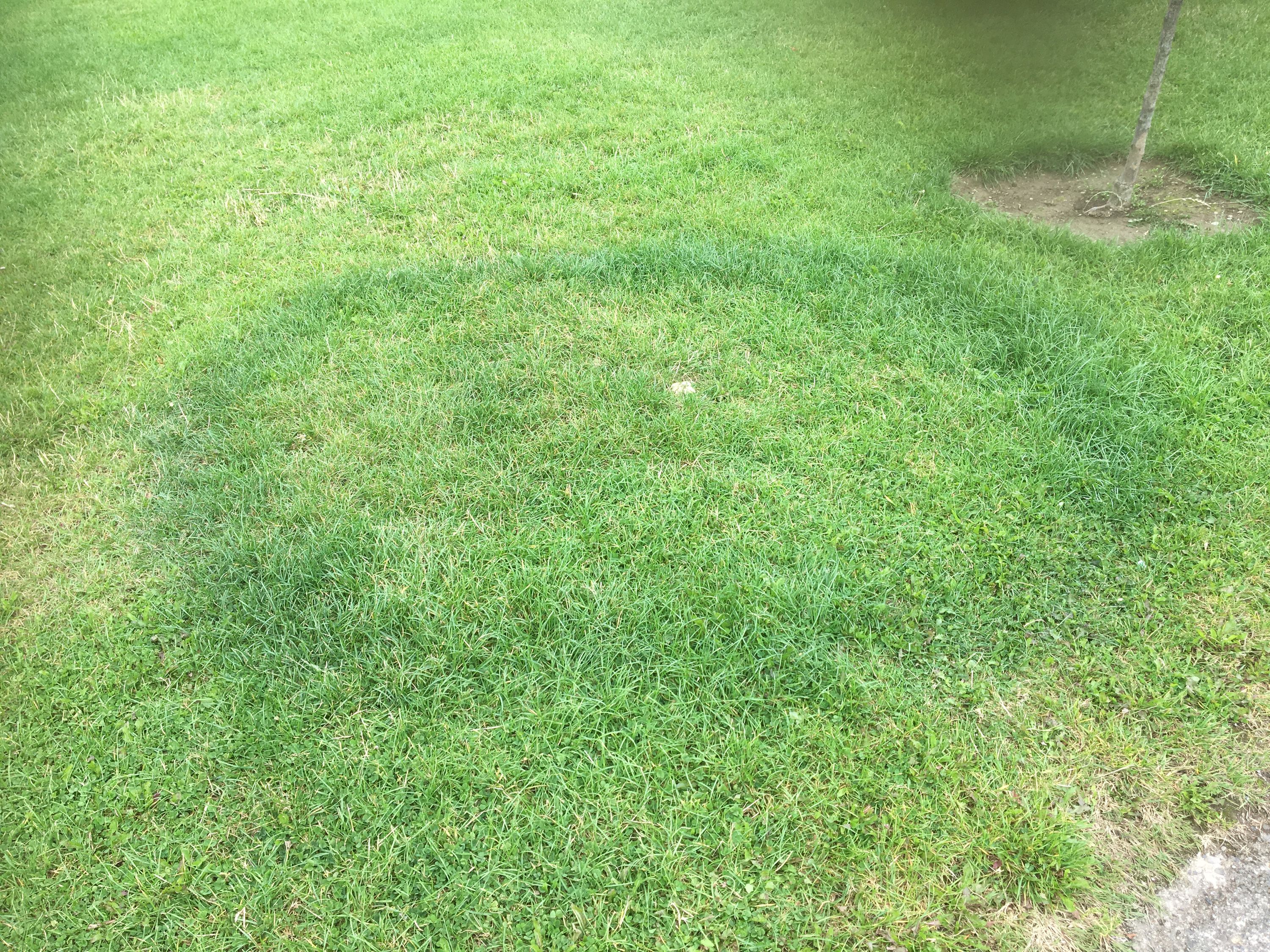 photo 13-08-2019, 14 19 42