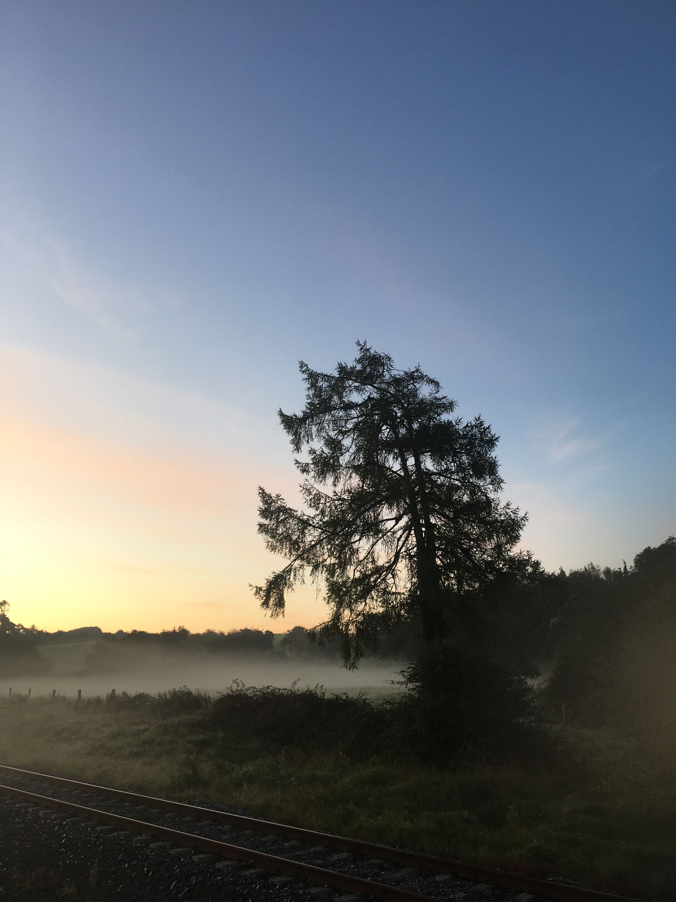 photo 19-09-2019, 07 09 14