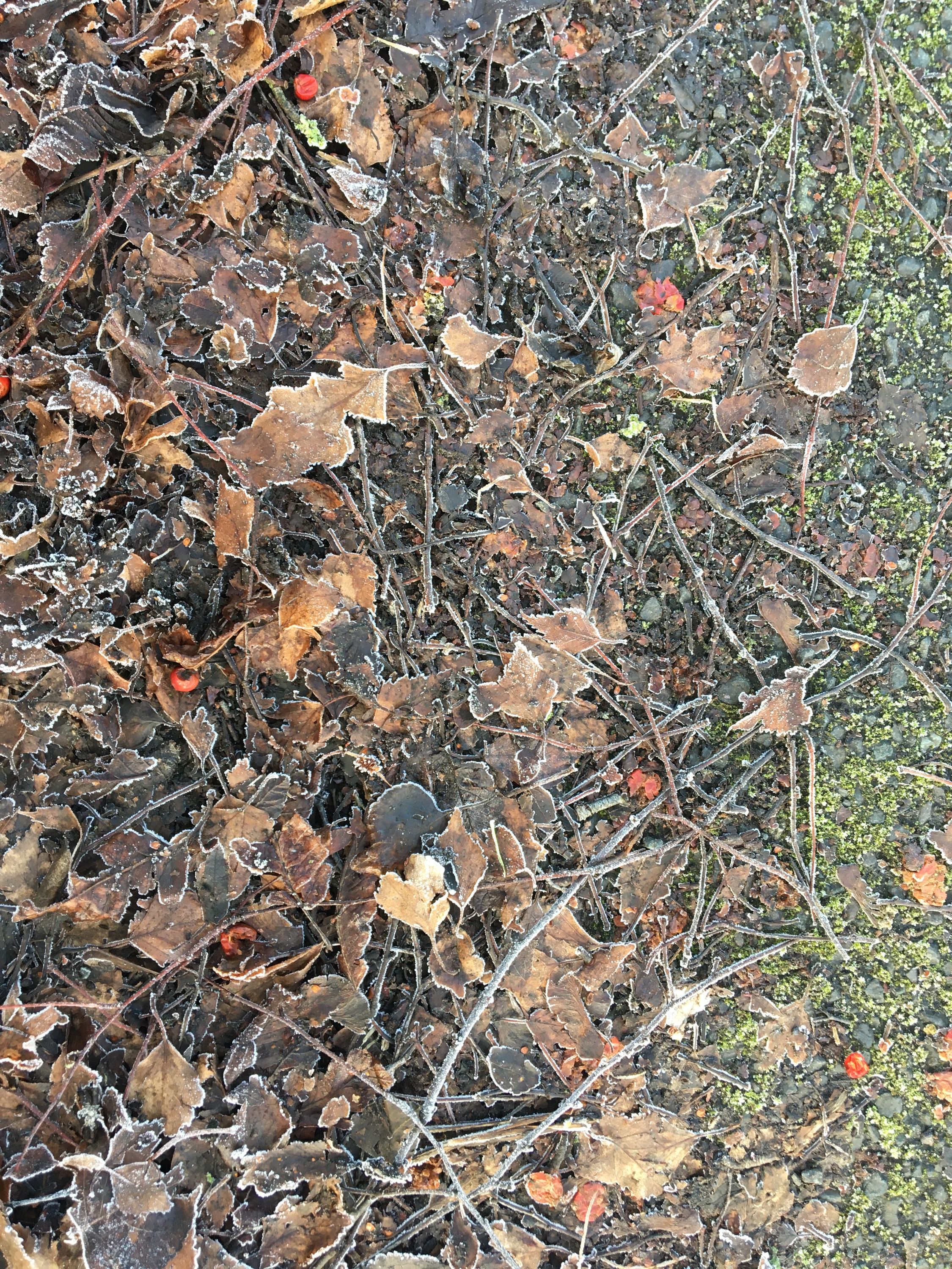 photo 19-01-2020, 11 13 02