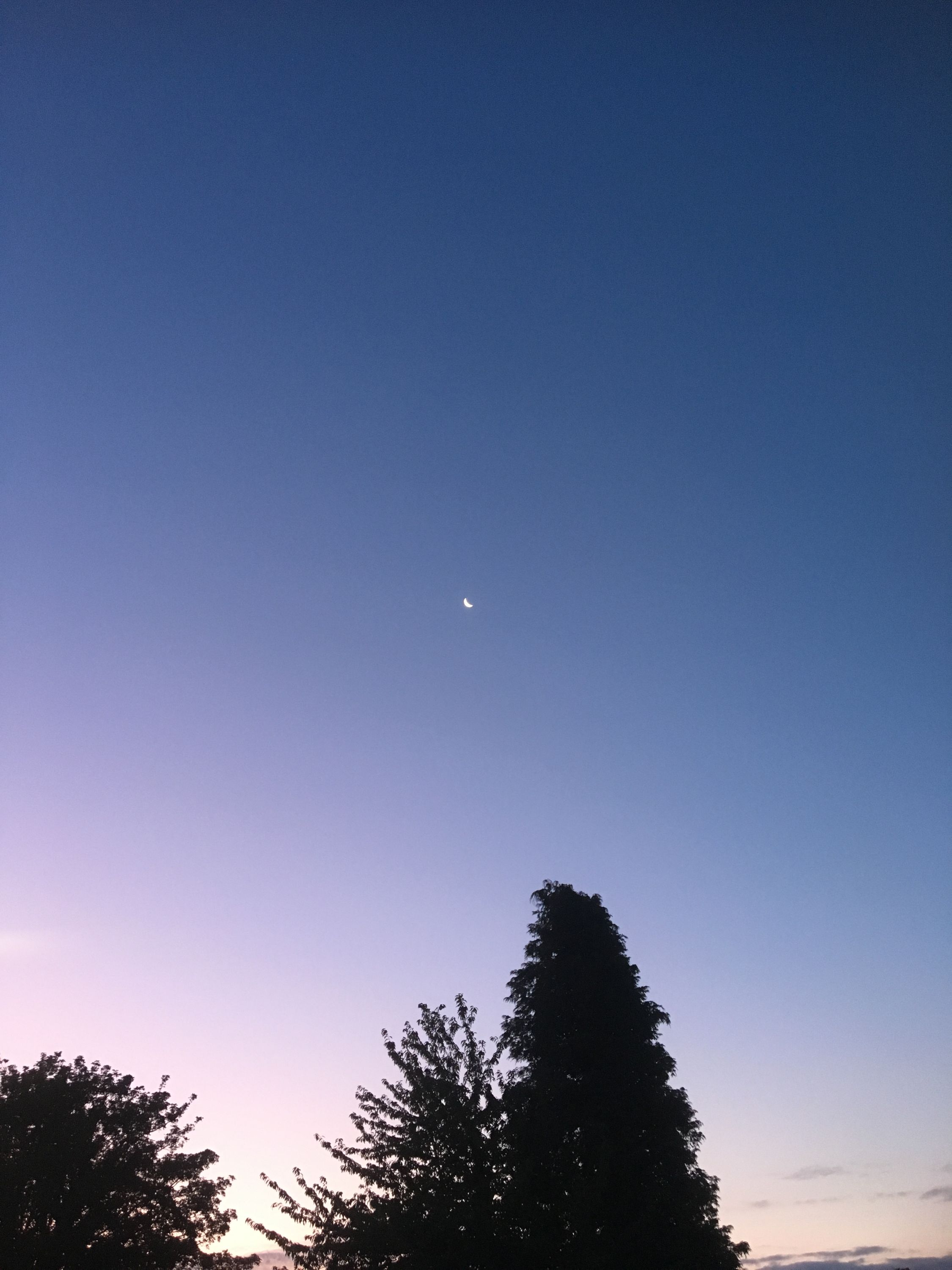 photo 26-08-2019, 06 01 43