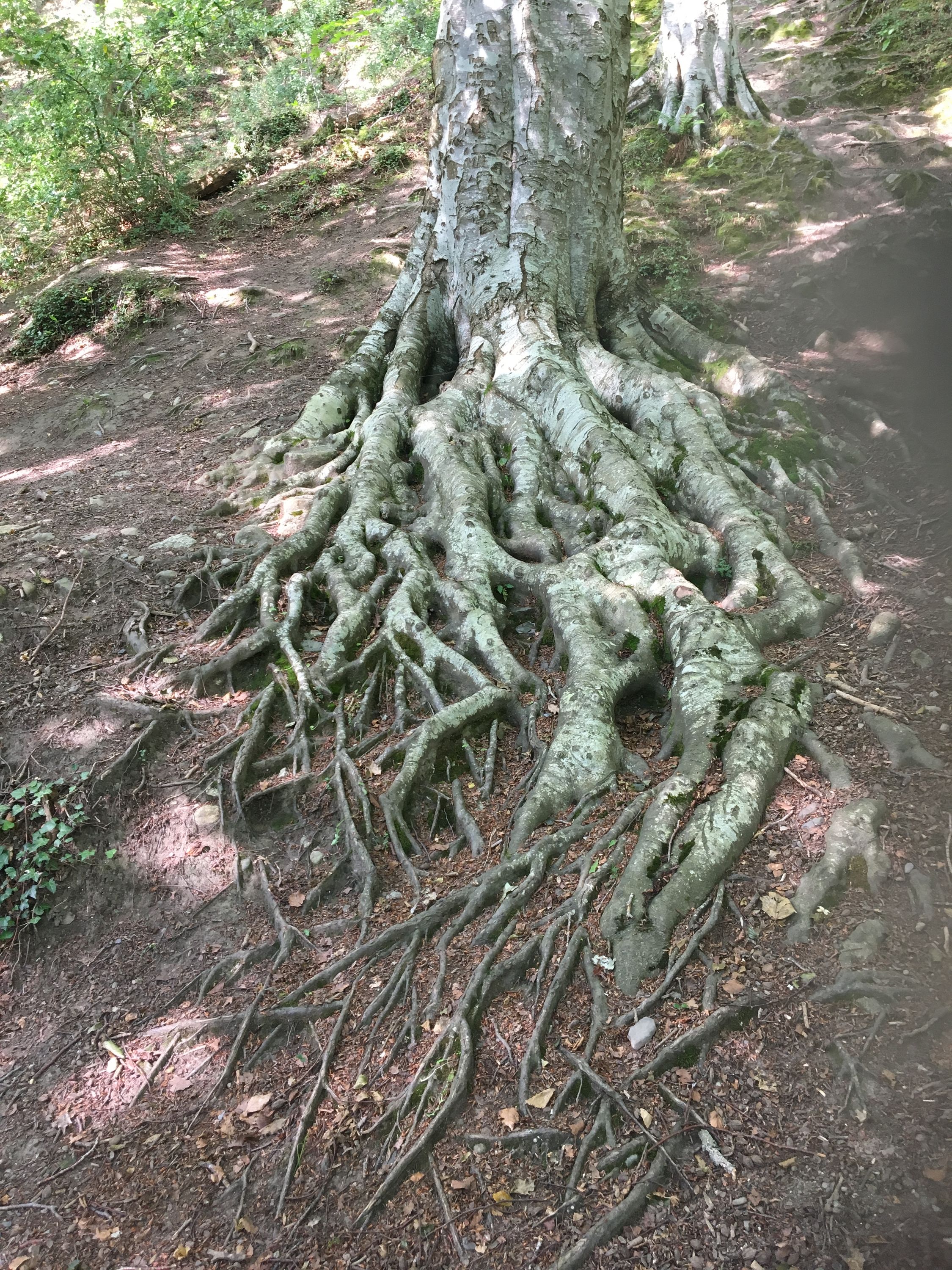 photo 31-07-2019, 16 56 15