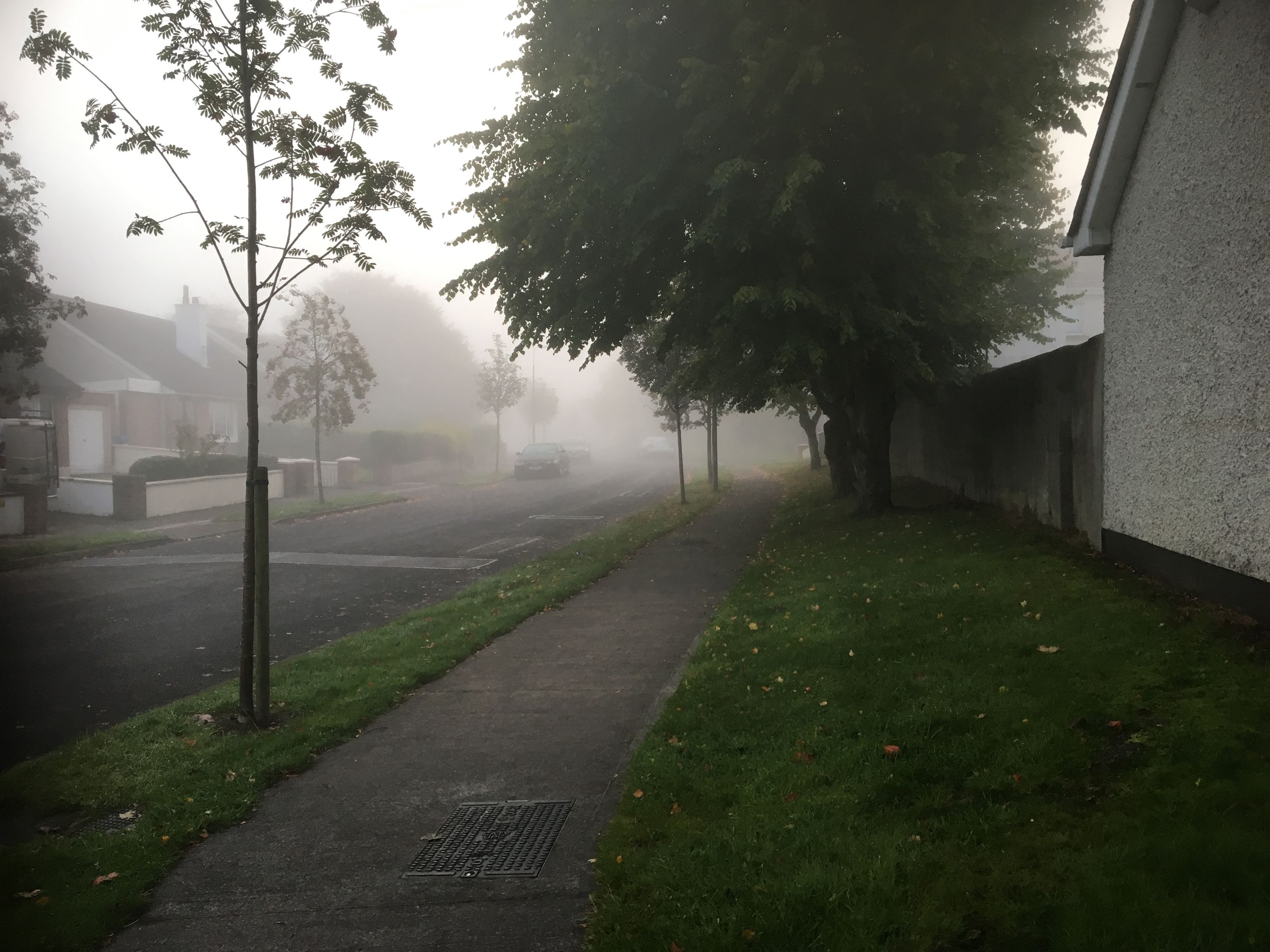 photo 30-09-2019, 07 30 25