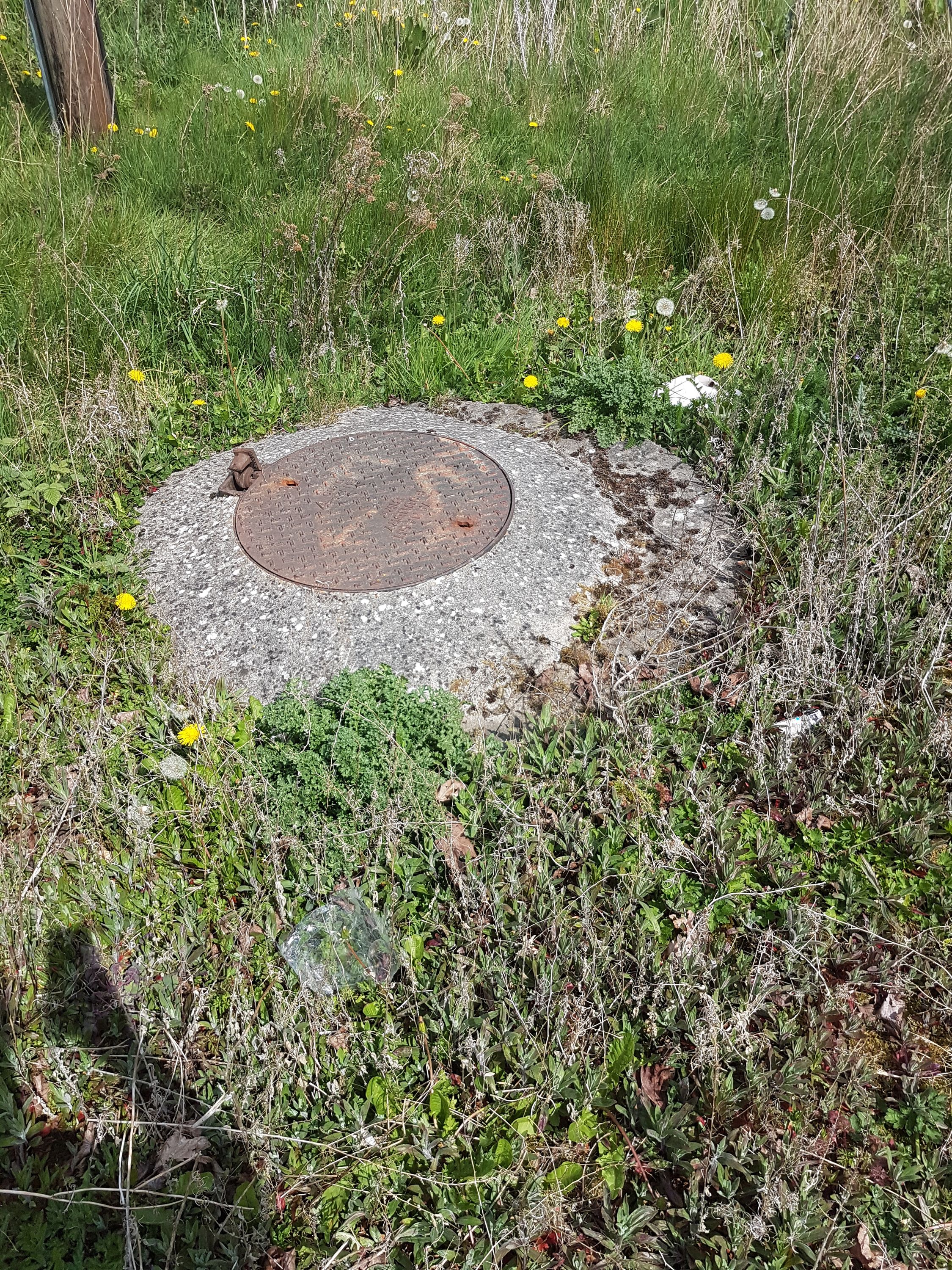 20200428 134954