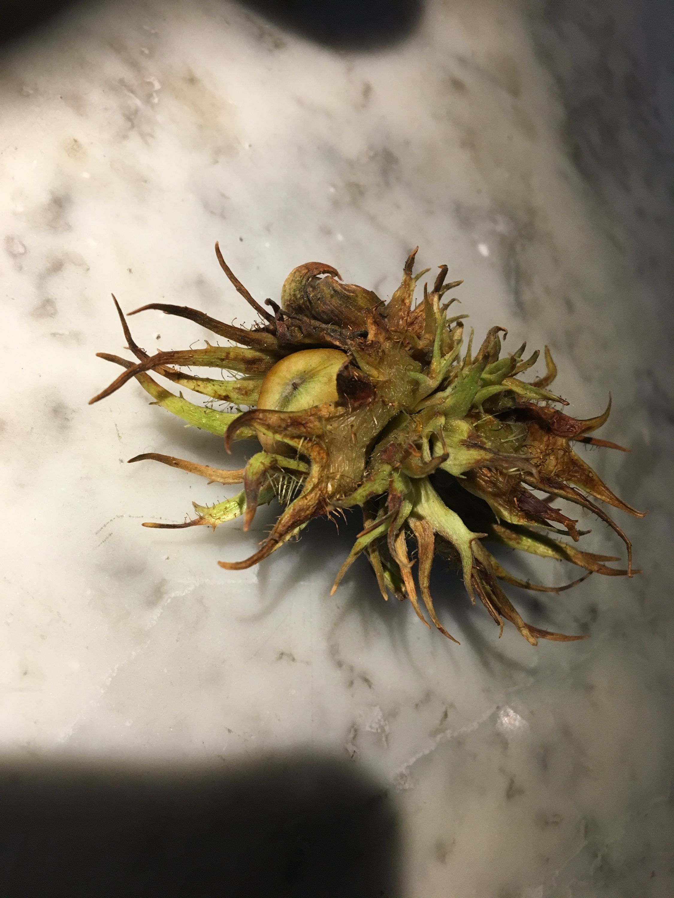 photo 04-10-2019, 18 34 17