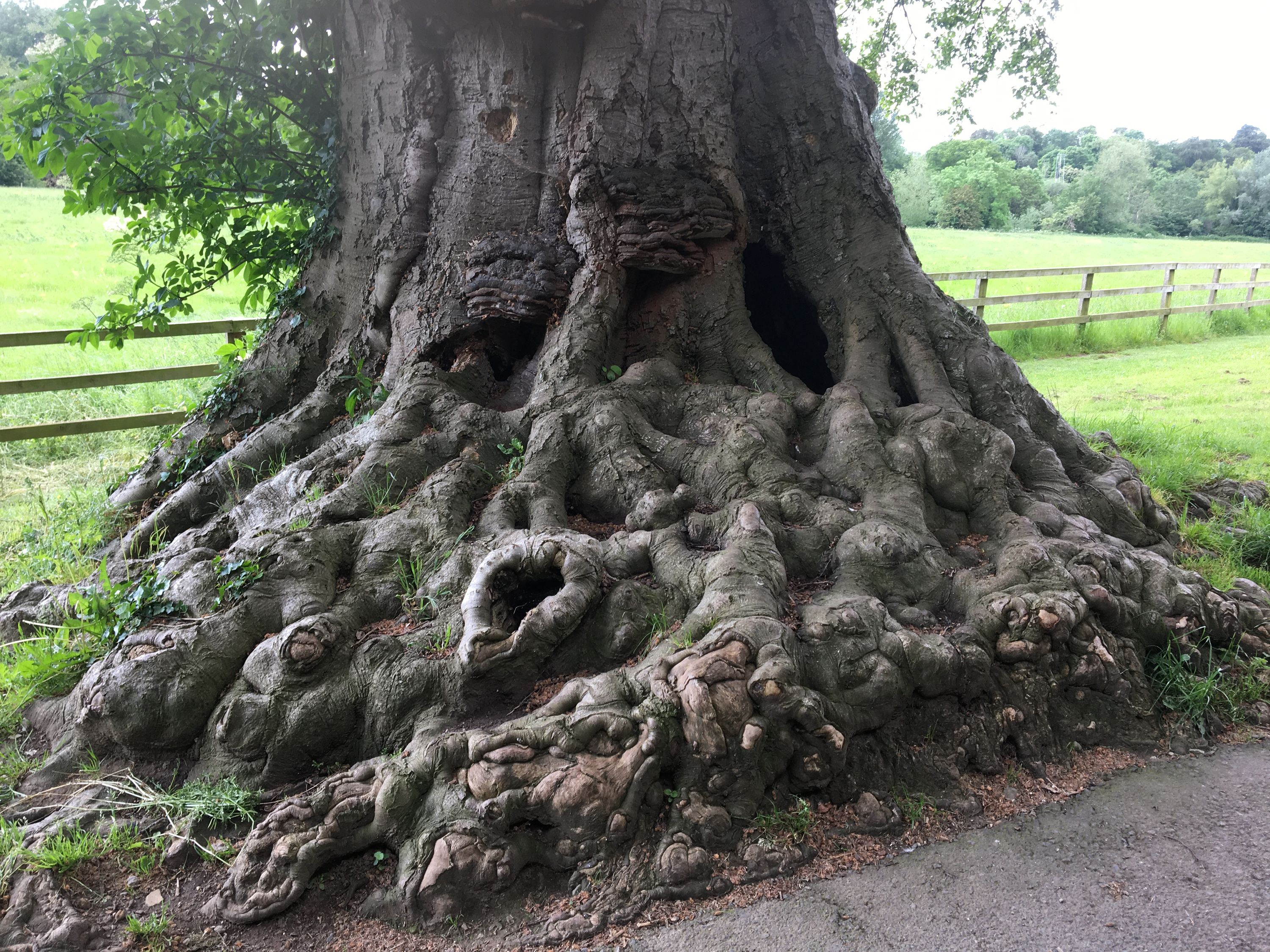 photo 02-06-2019, 11 28 02