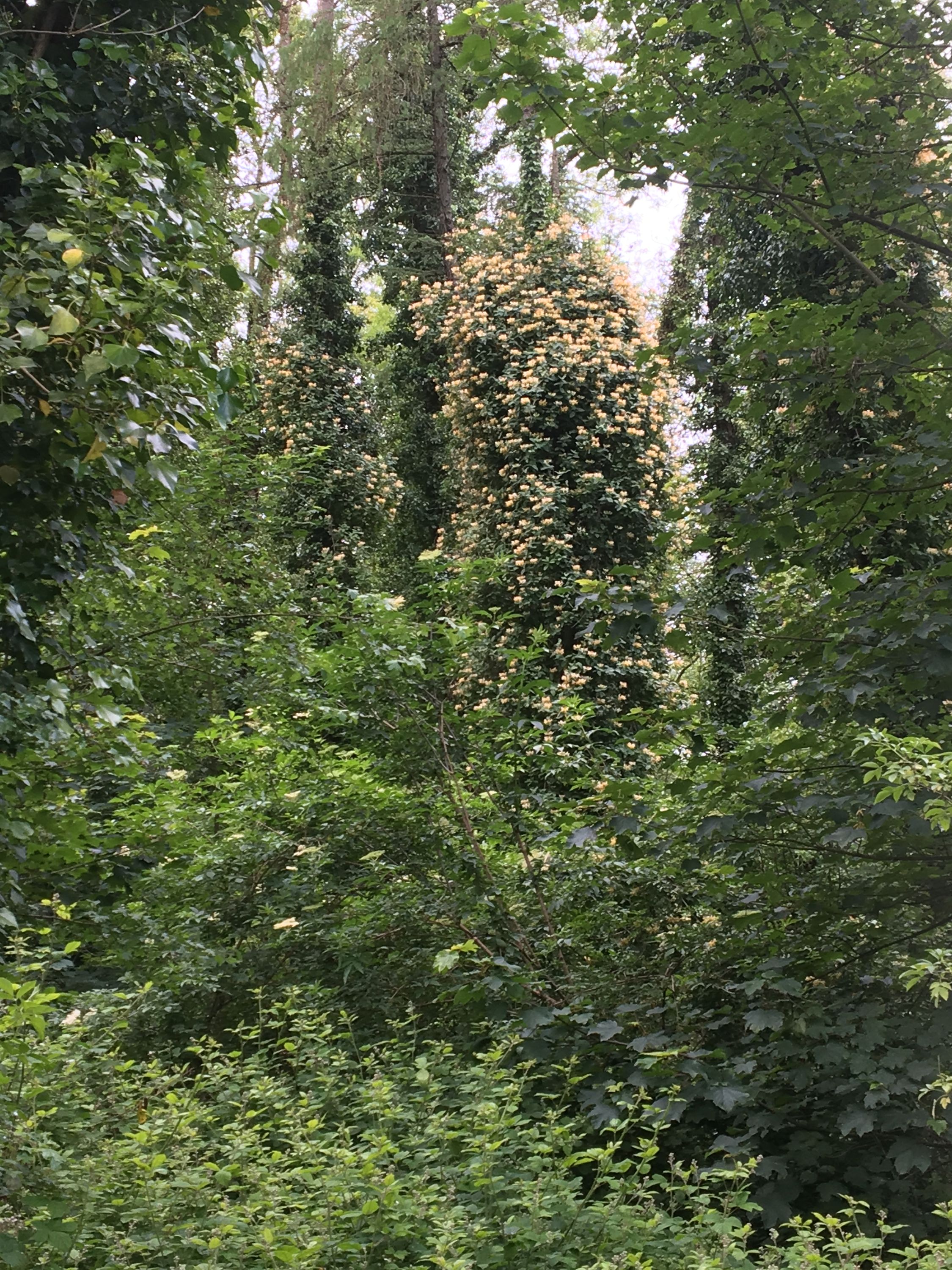 photo 08-06-2019, 15 11 24