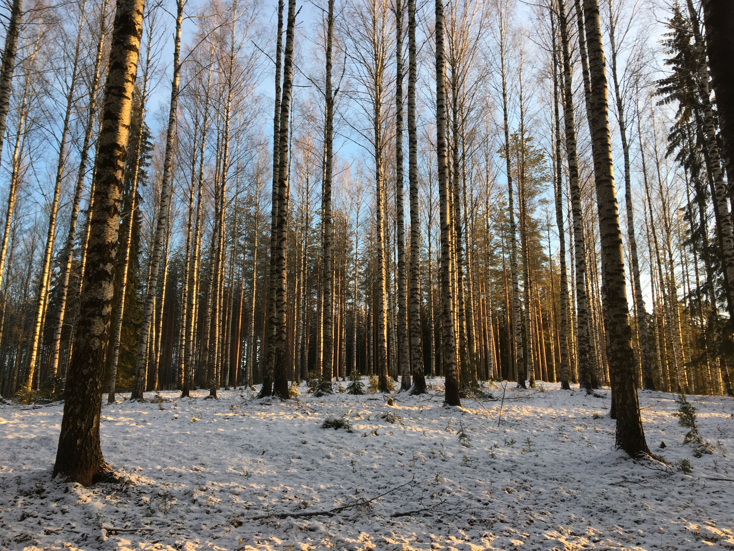 photo 28-12-2019, 13 43 22