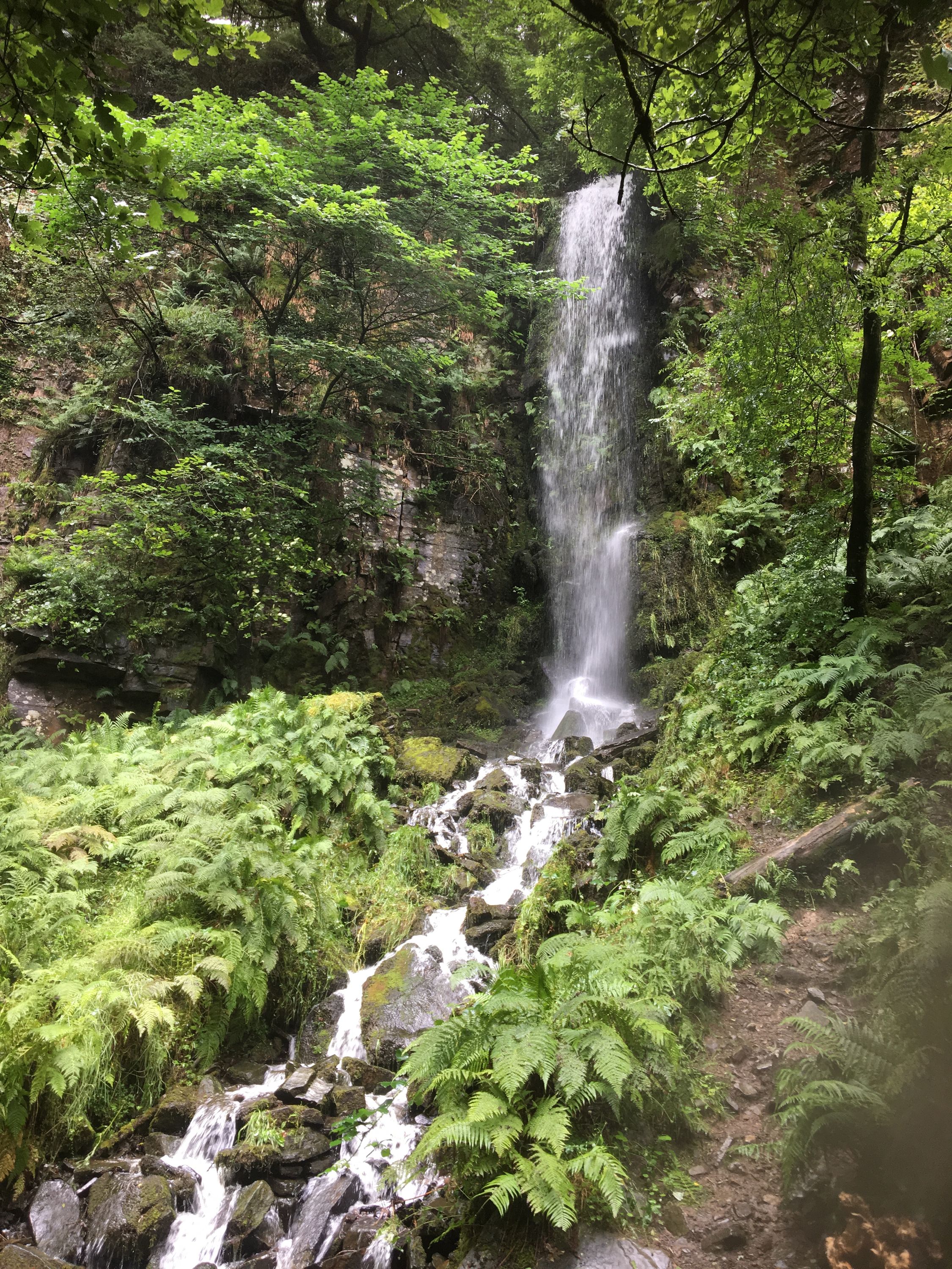 photo 11-08-2019, 12 31 53
