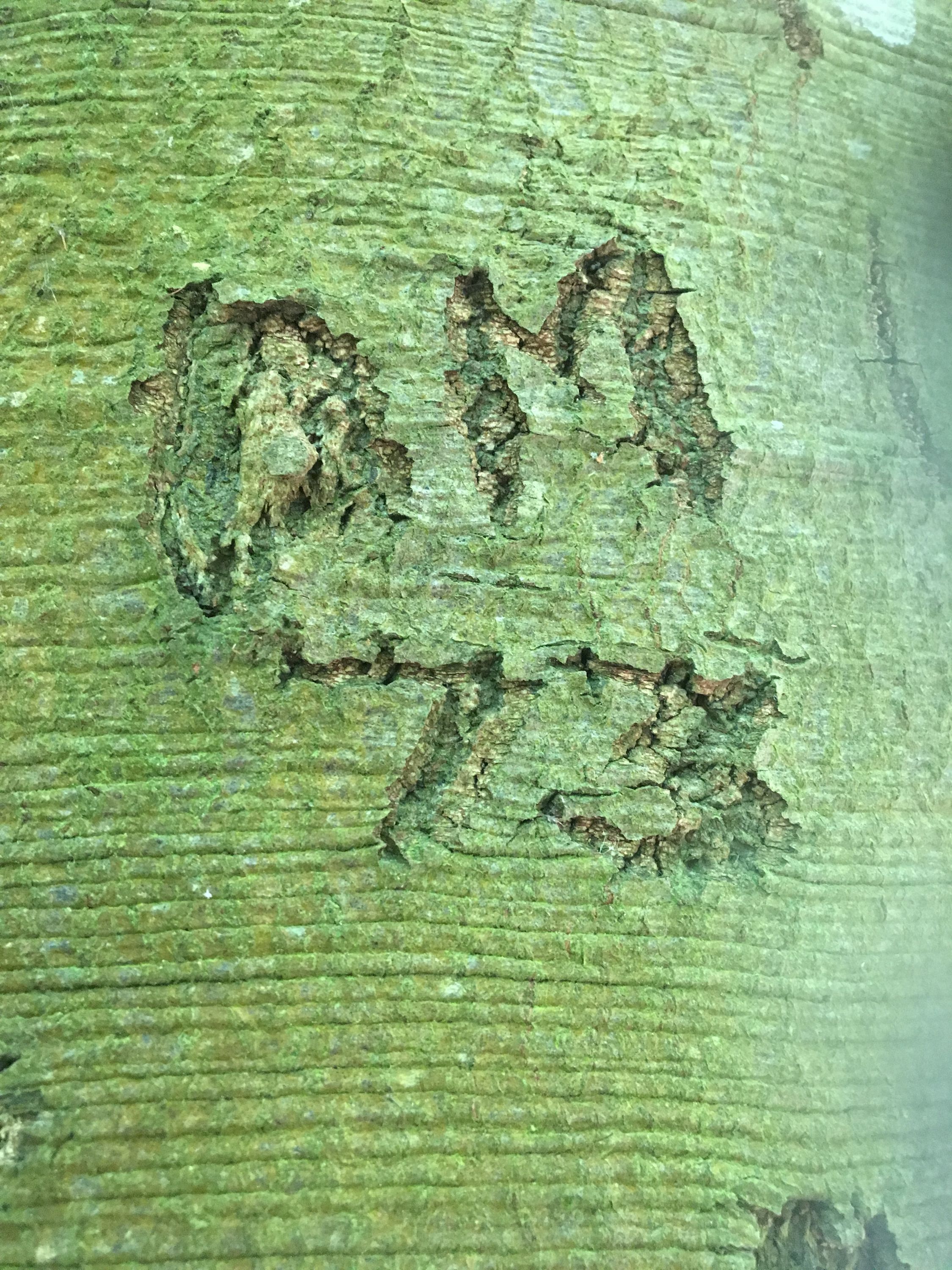 photo 31-07-2019, 17 01 16