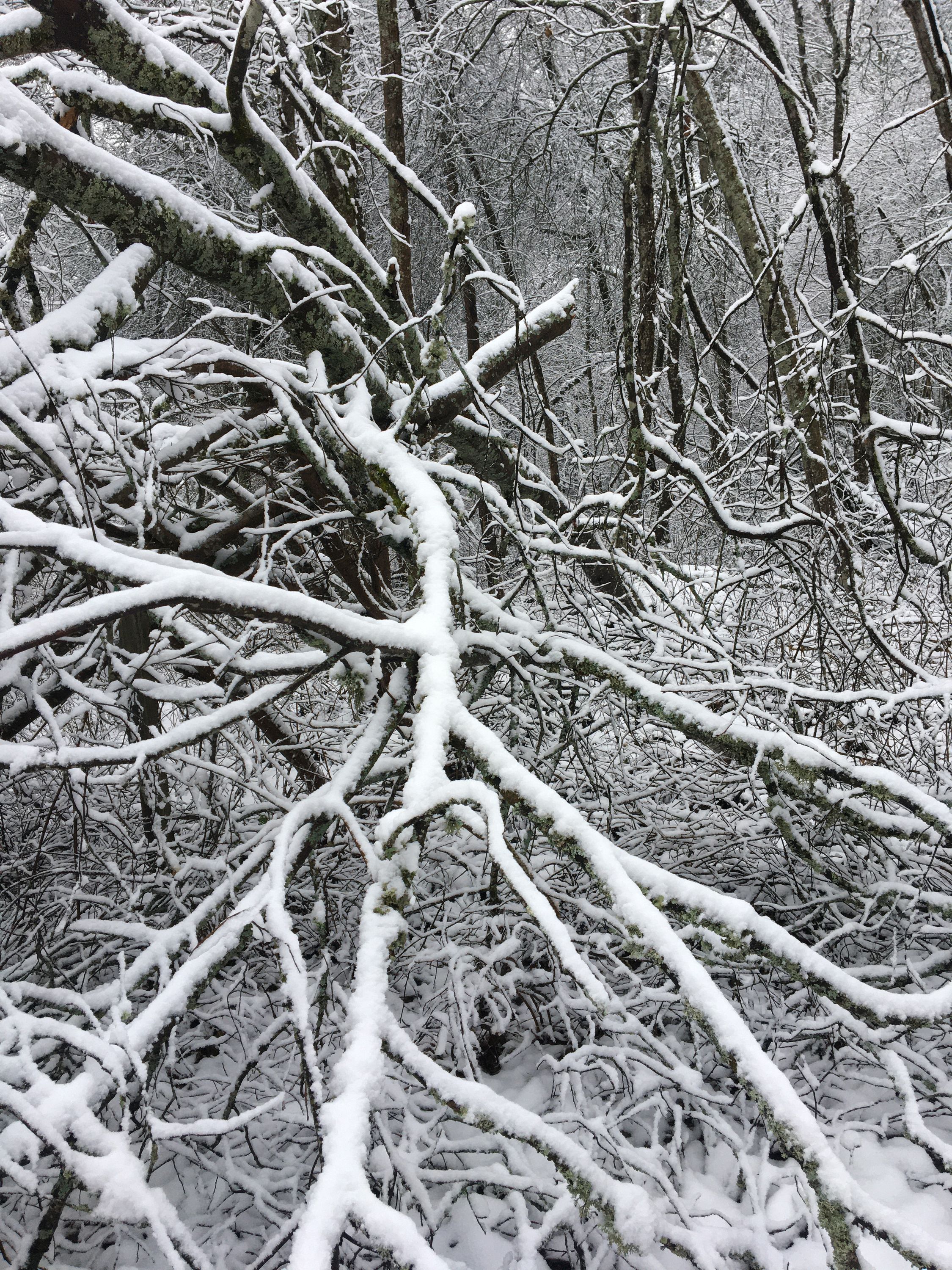 photo 25-12-2019, 11 41 27