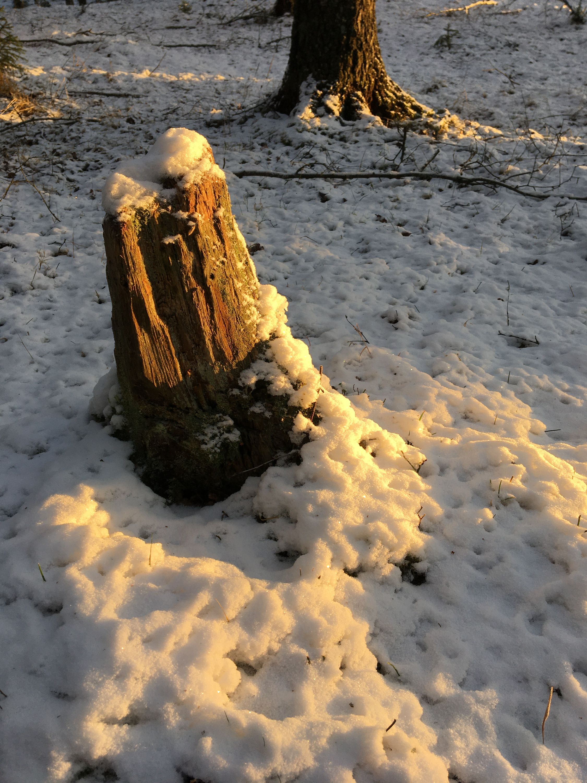 photo 28-12-2019, 13 45 53