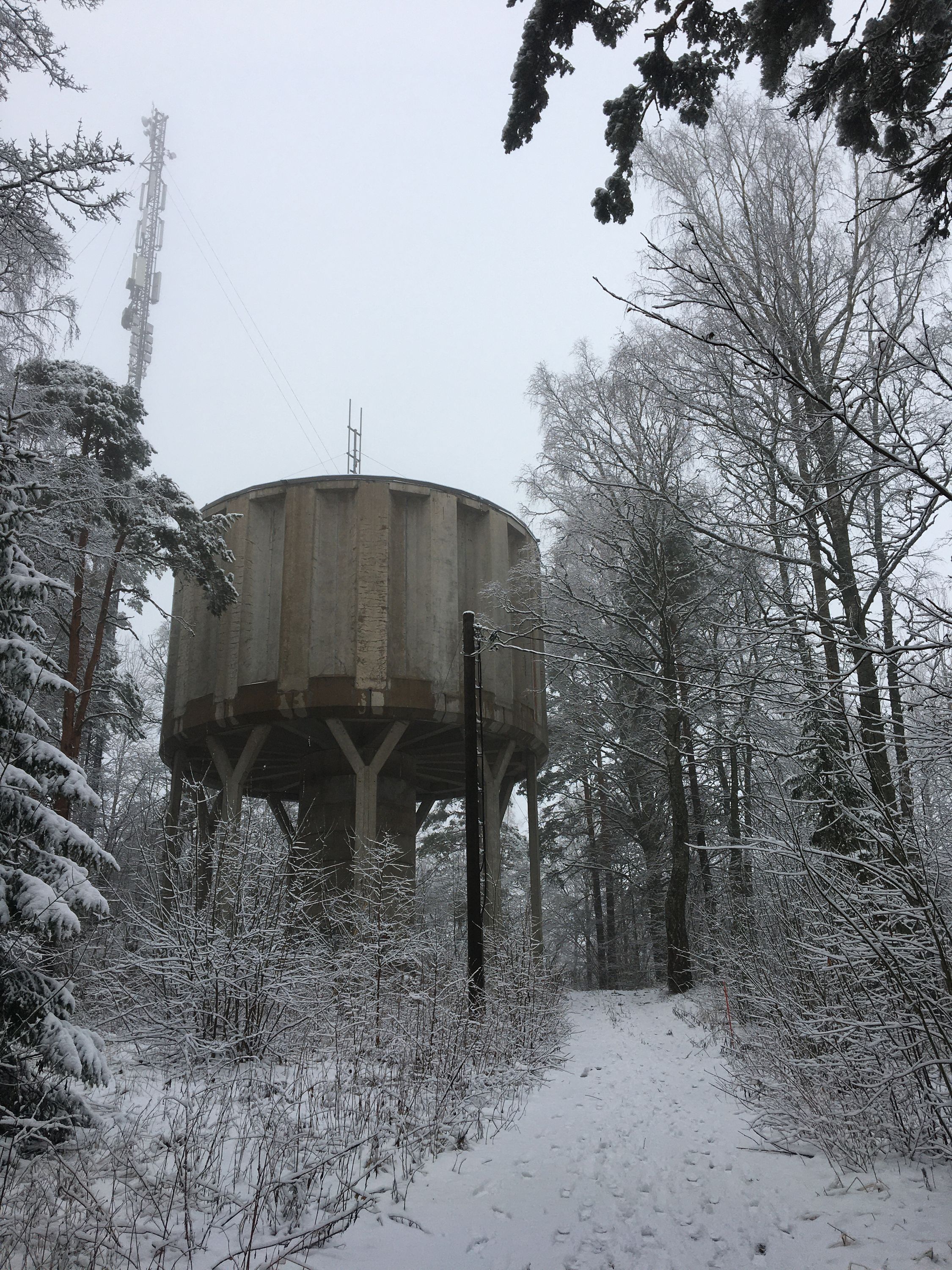 photo 25-12-2019, 11 51 34