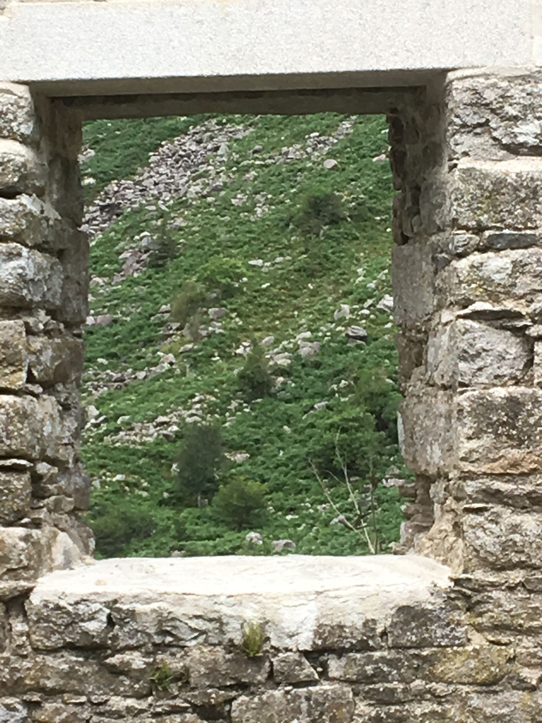 photo 28-07-2019, 13 37 36