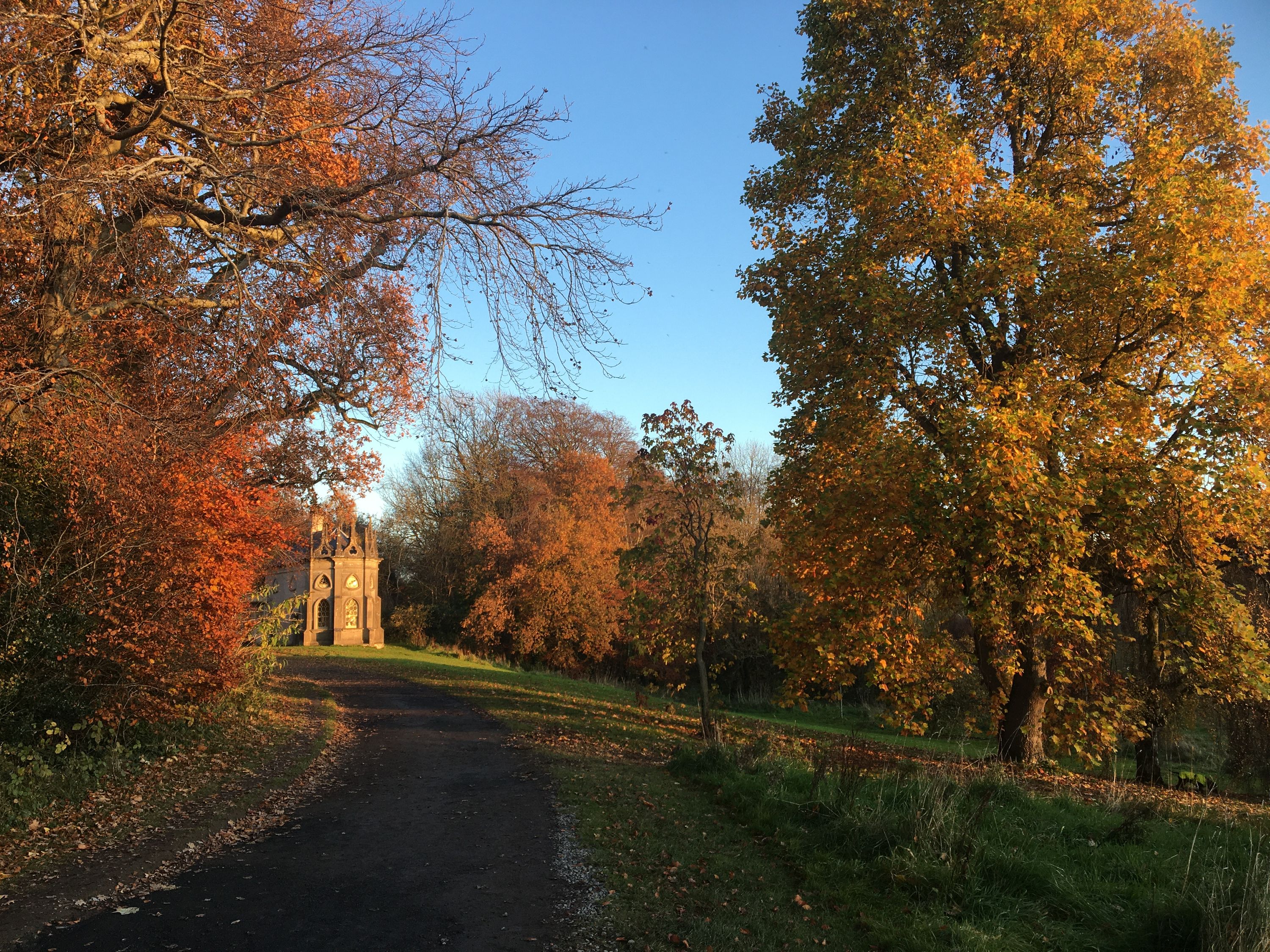 photo 17-11-2019, 15 55 46
