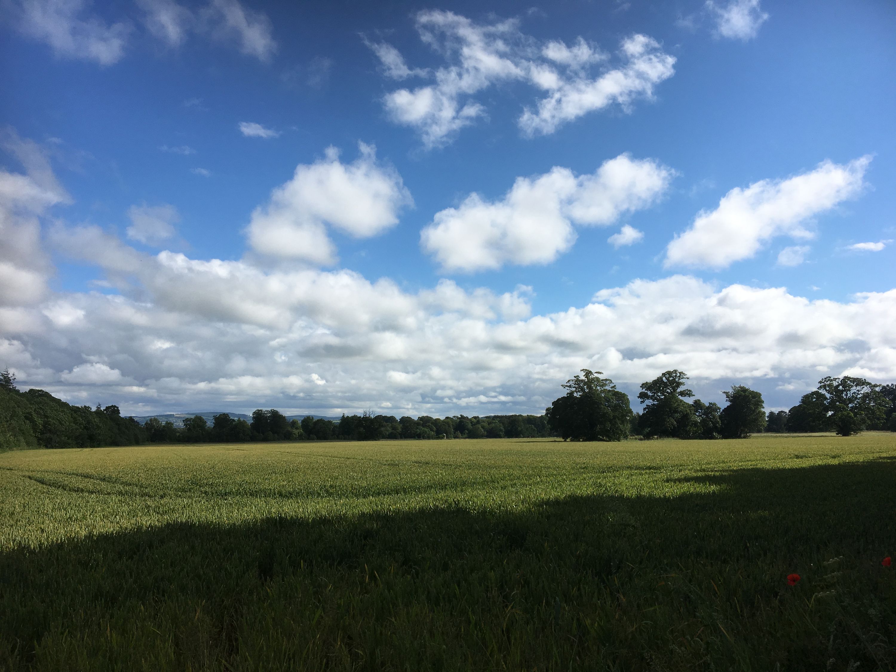 photo 30-06-2019, 16 58 54