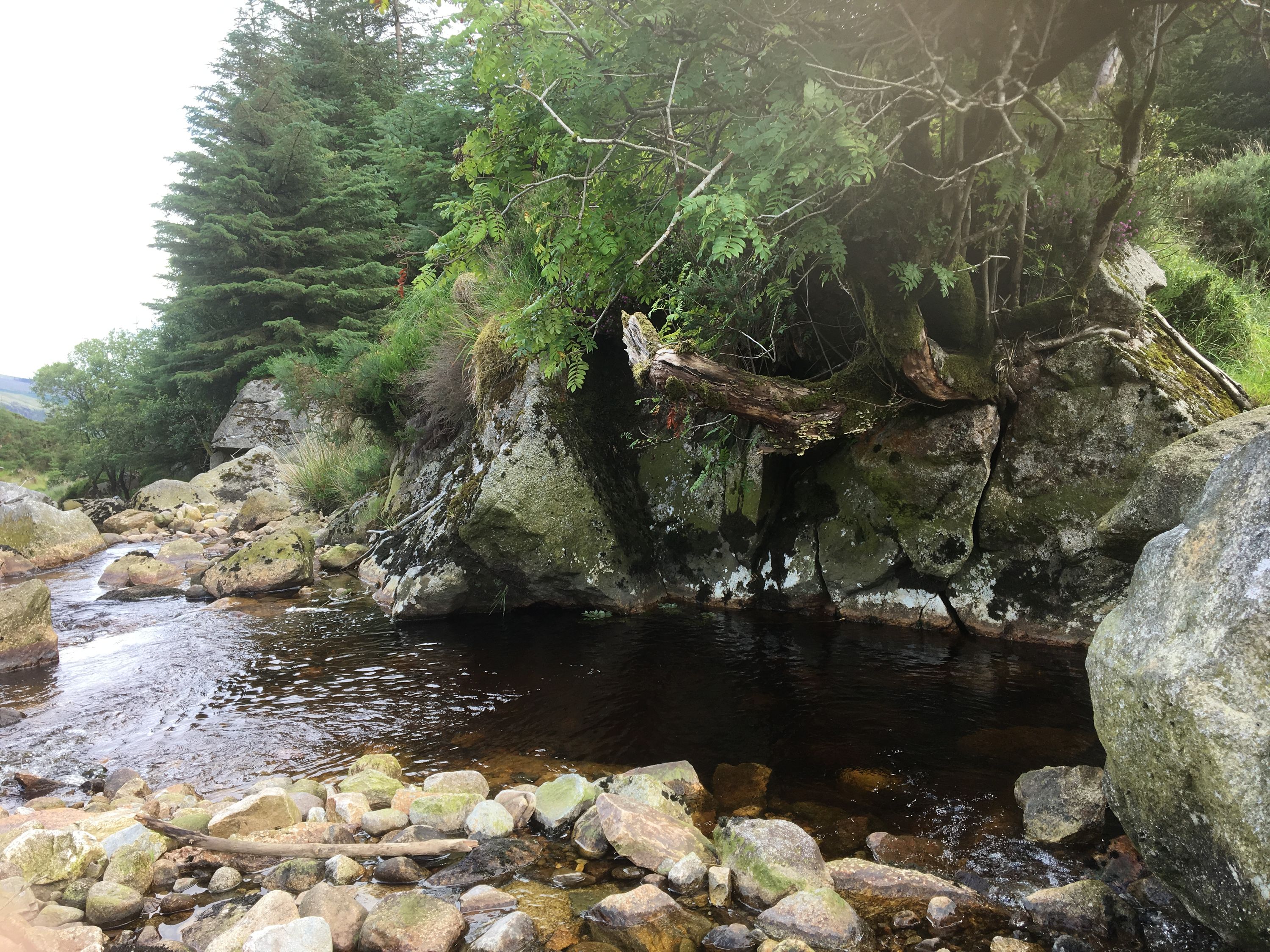 photo 28-07-2019, 15 06 37