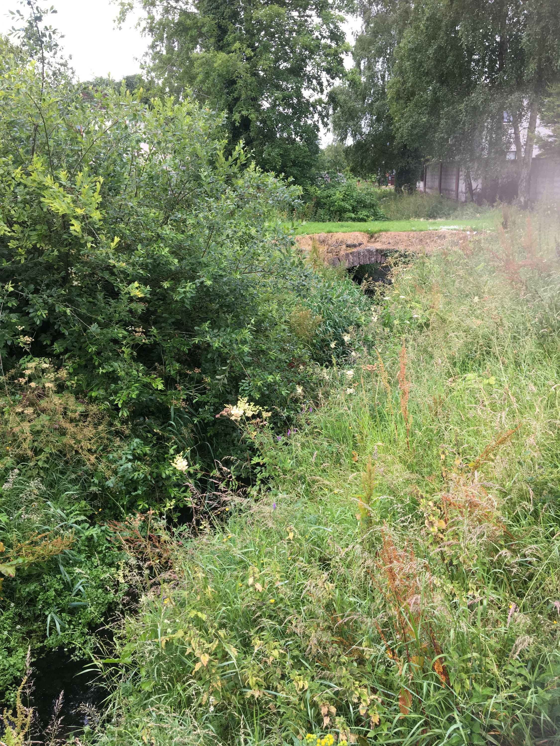 photo 06-07-2019, 10 06 57
