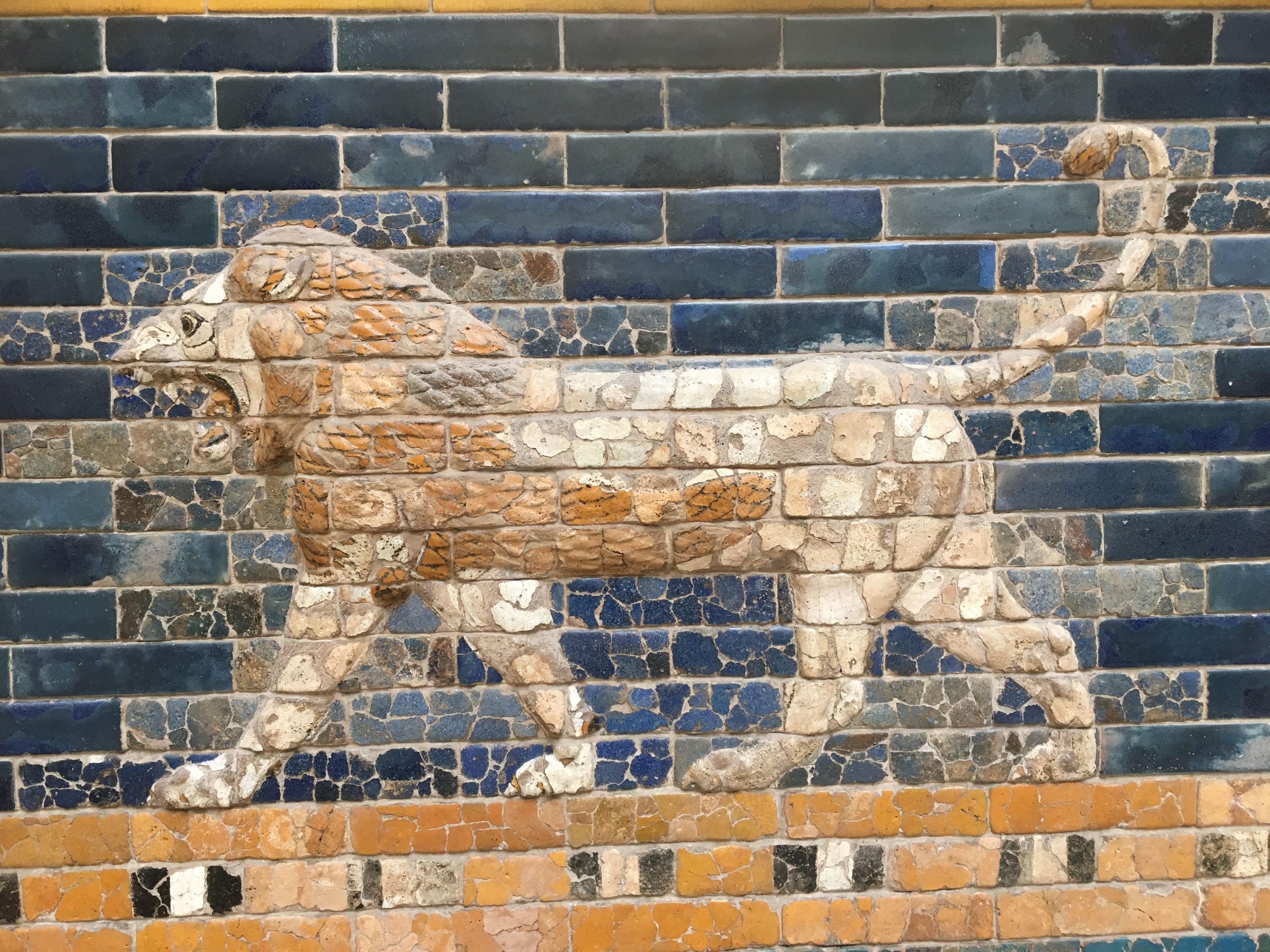 photo 01-09-2019, 11 23 20