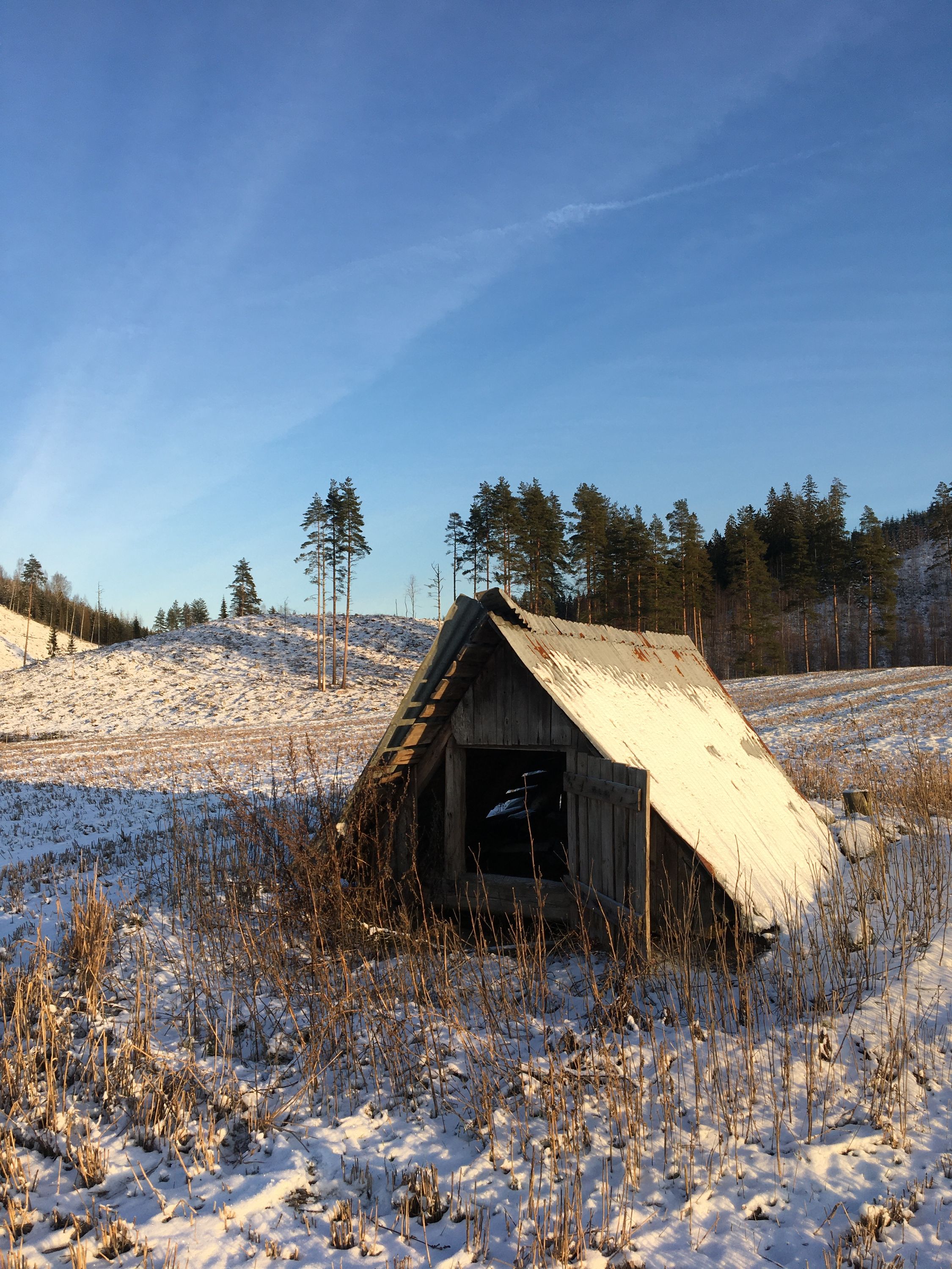 photo 28-12-2019, 12 56 02