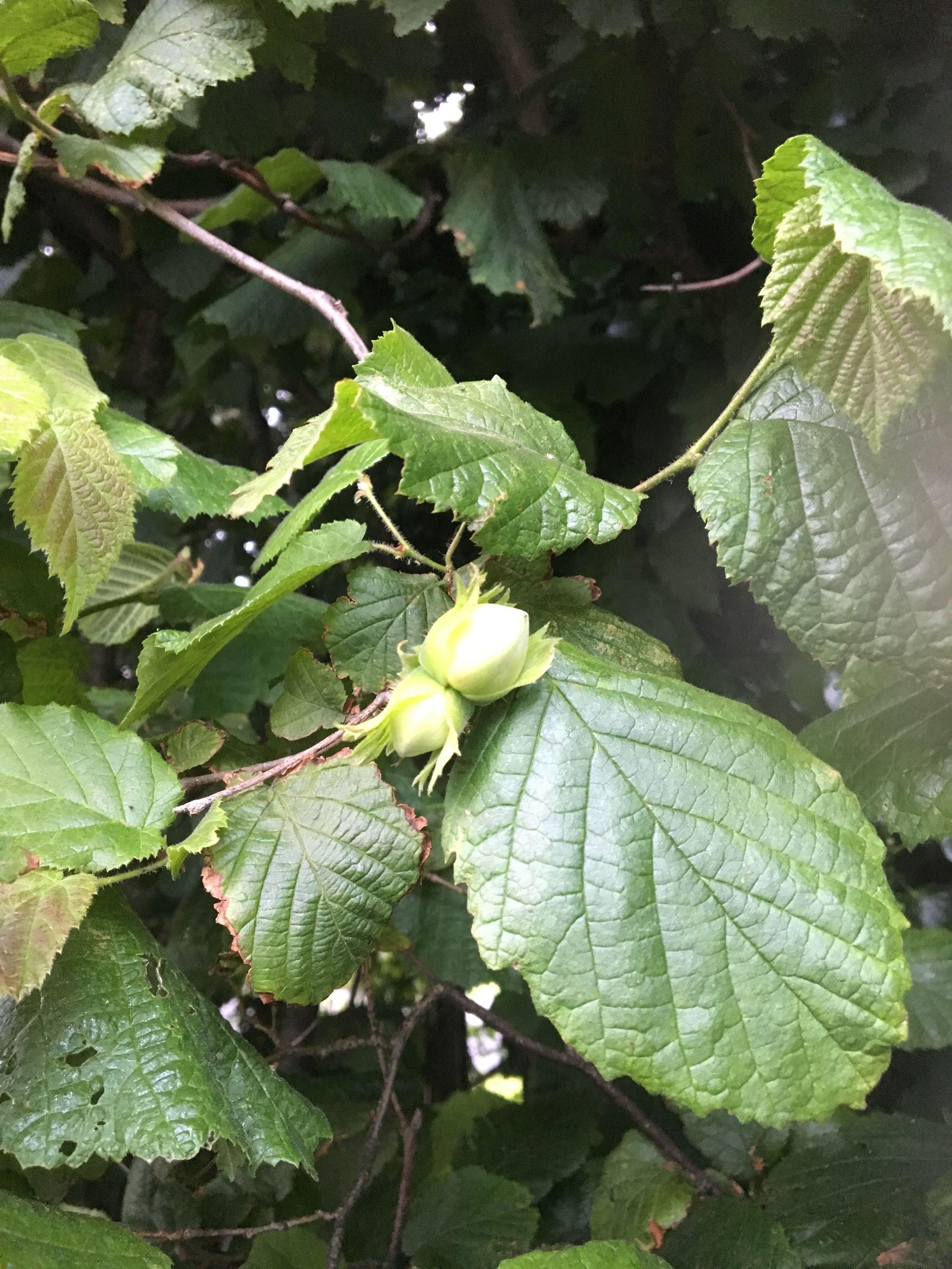 photo 08-07-2019, 05 56 56