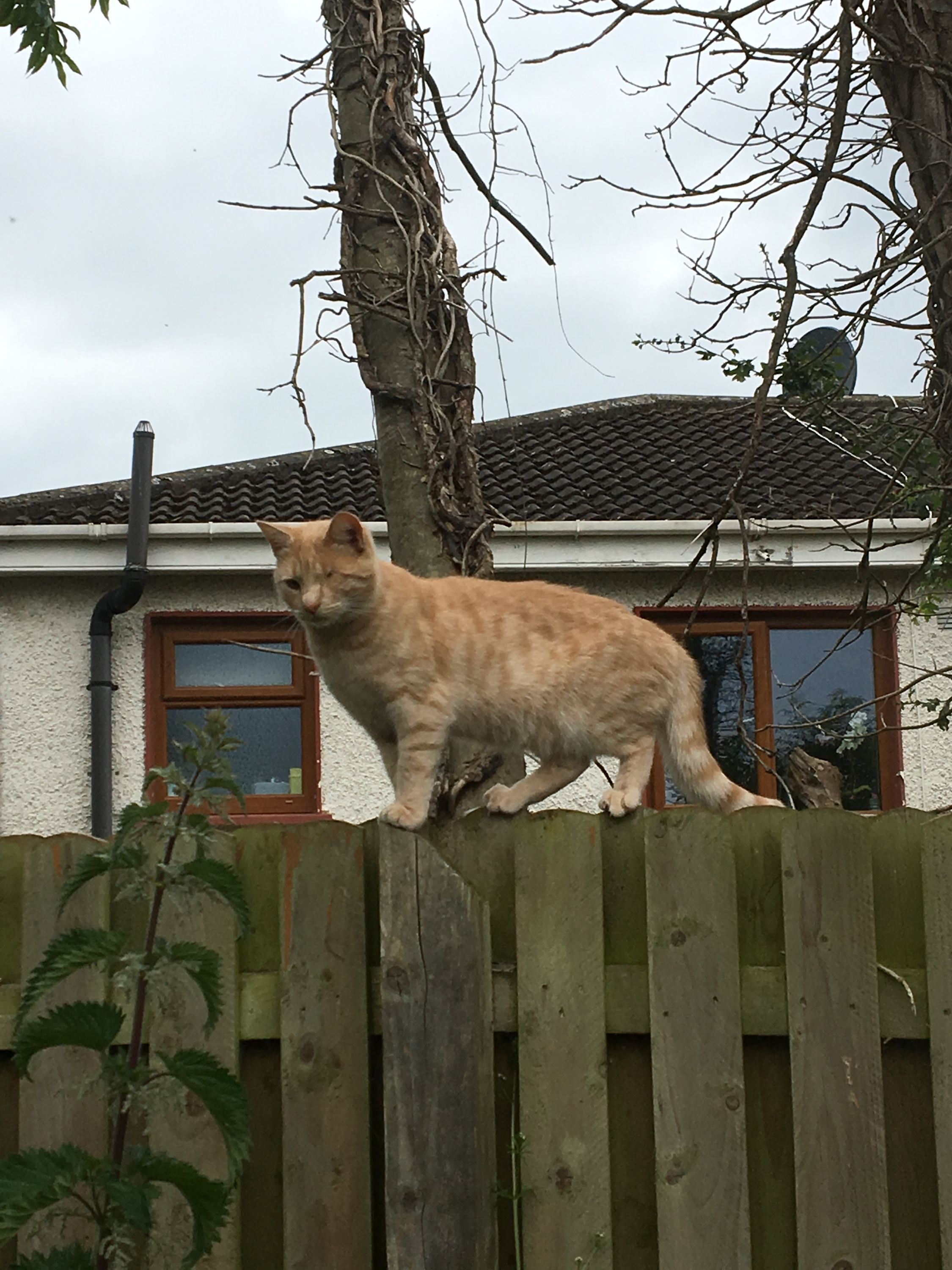 photo 23-06-2019, 11 31 26
