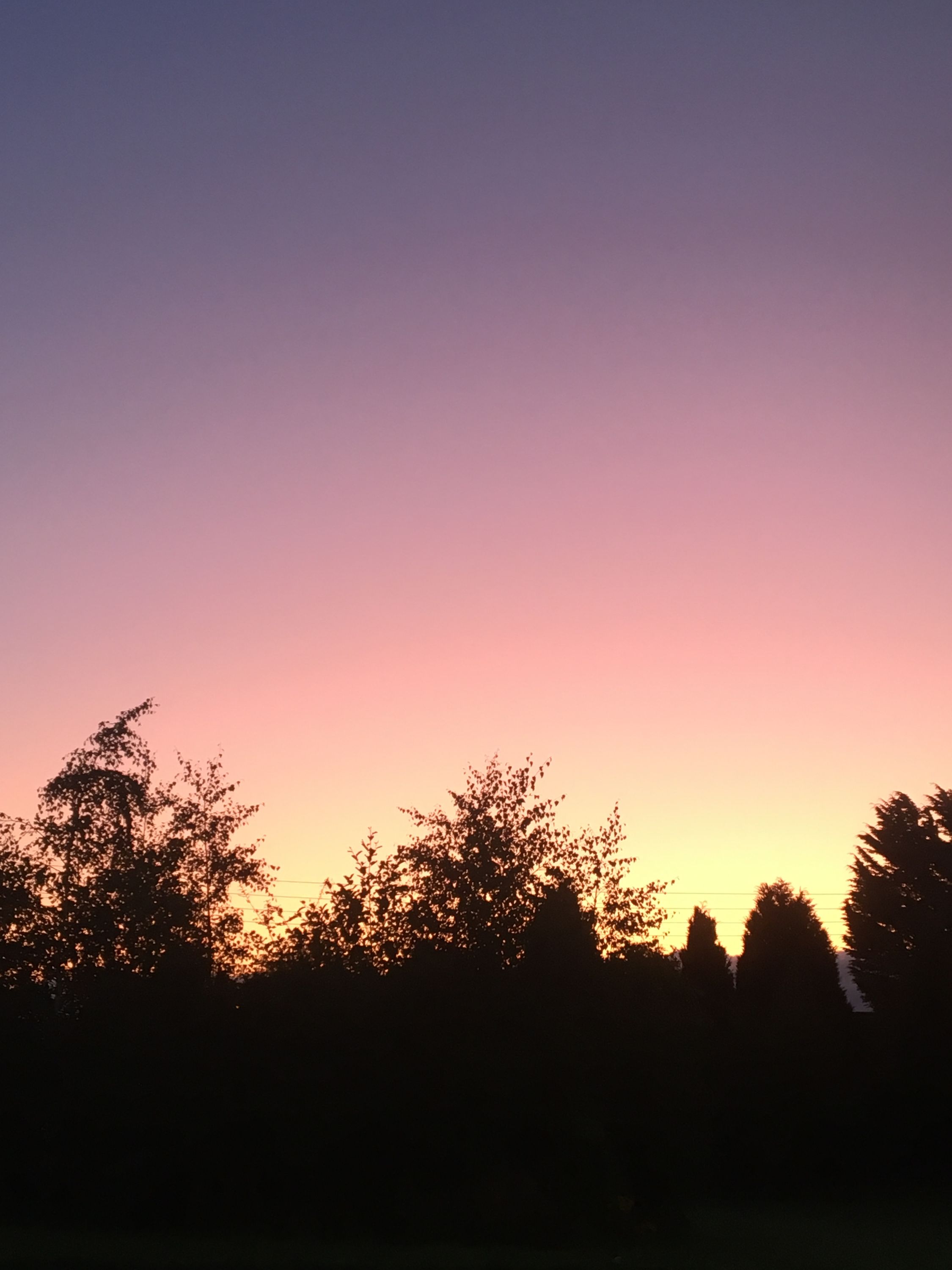 photo 26-08-2019, 06 02 08