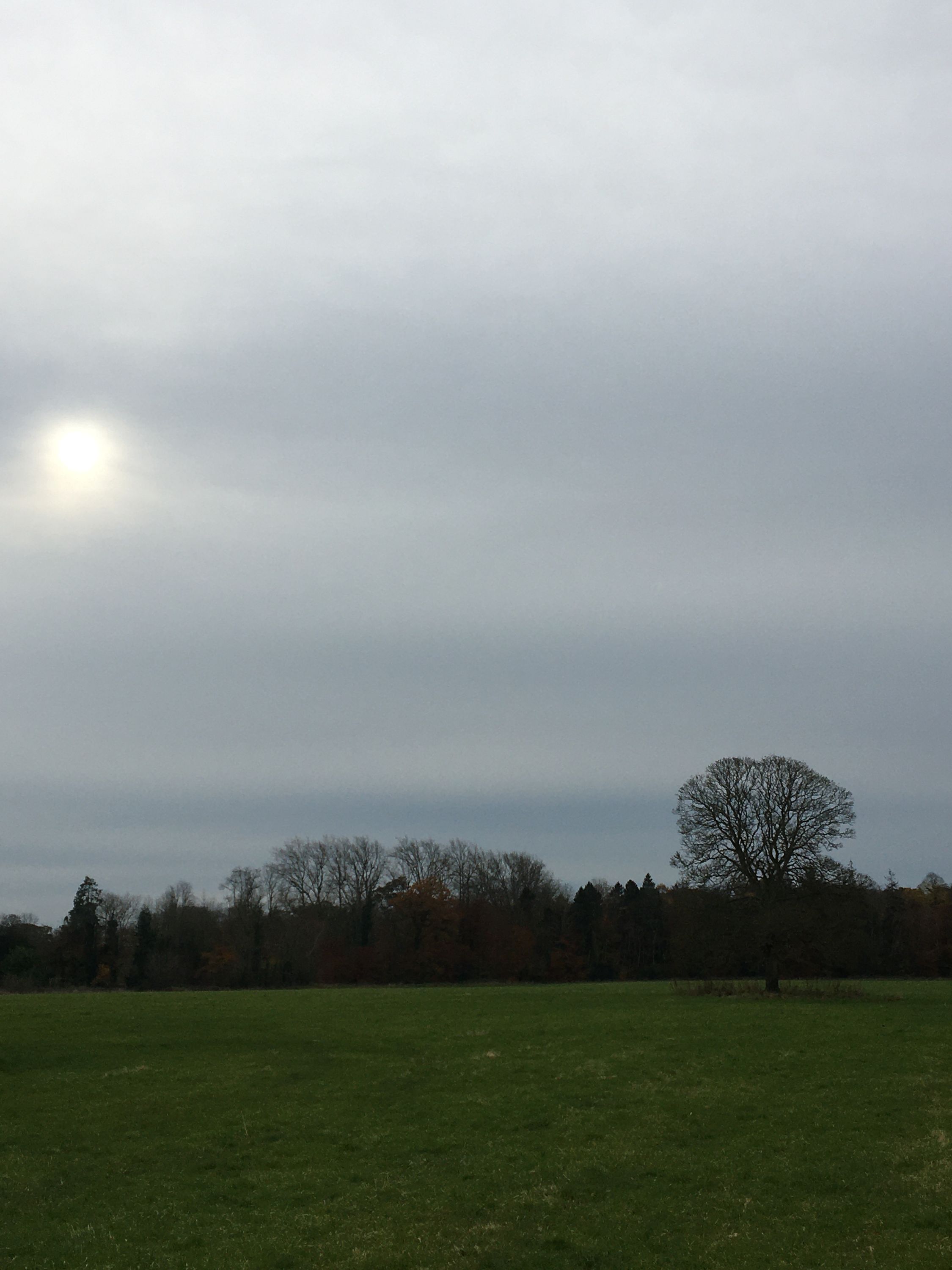 photo 10-11-2019, 13 20 45