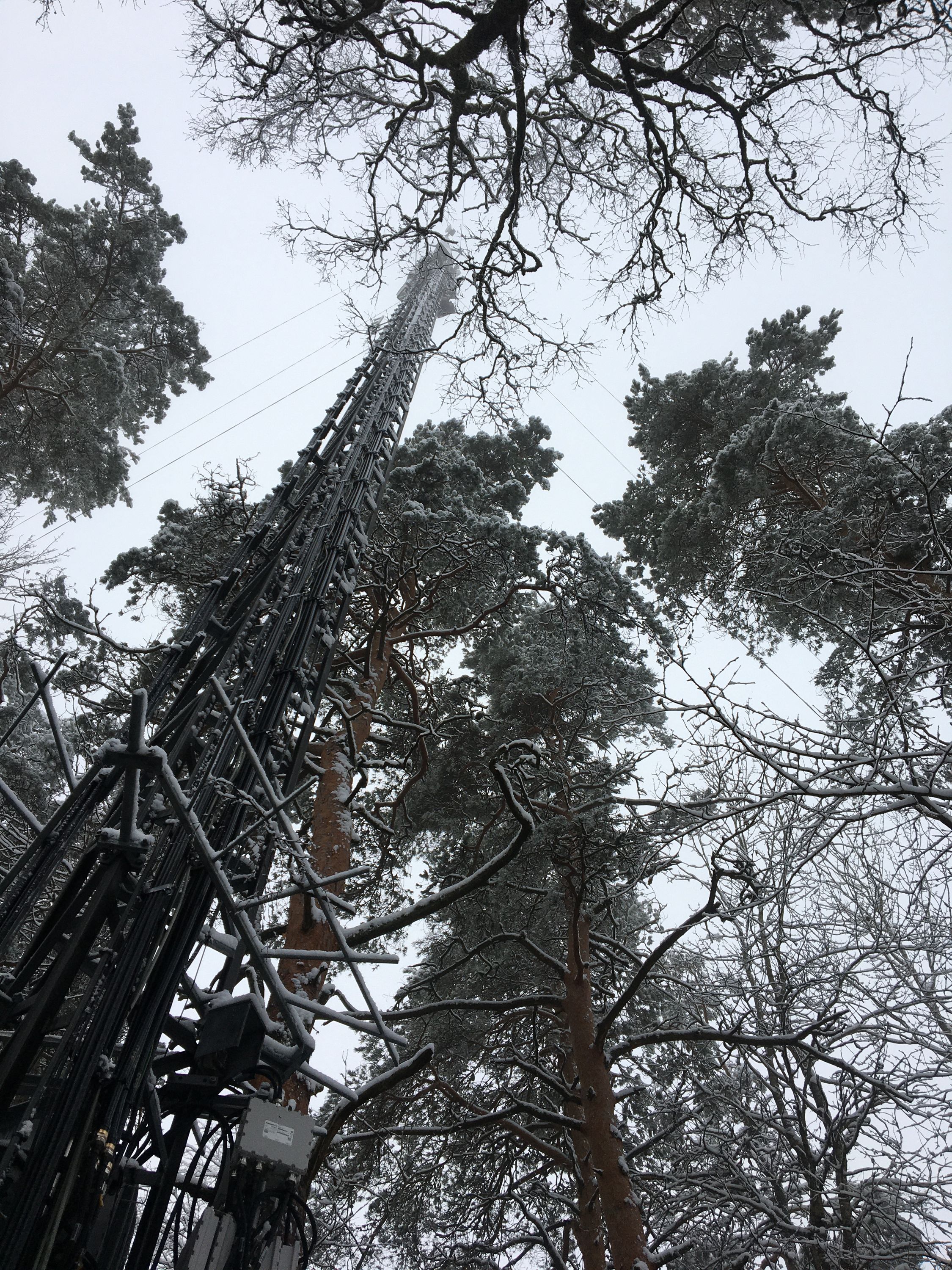 photo 25-12-2019, 11 53 23