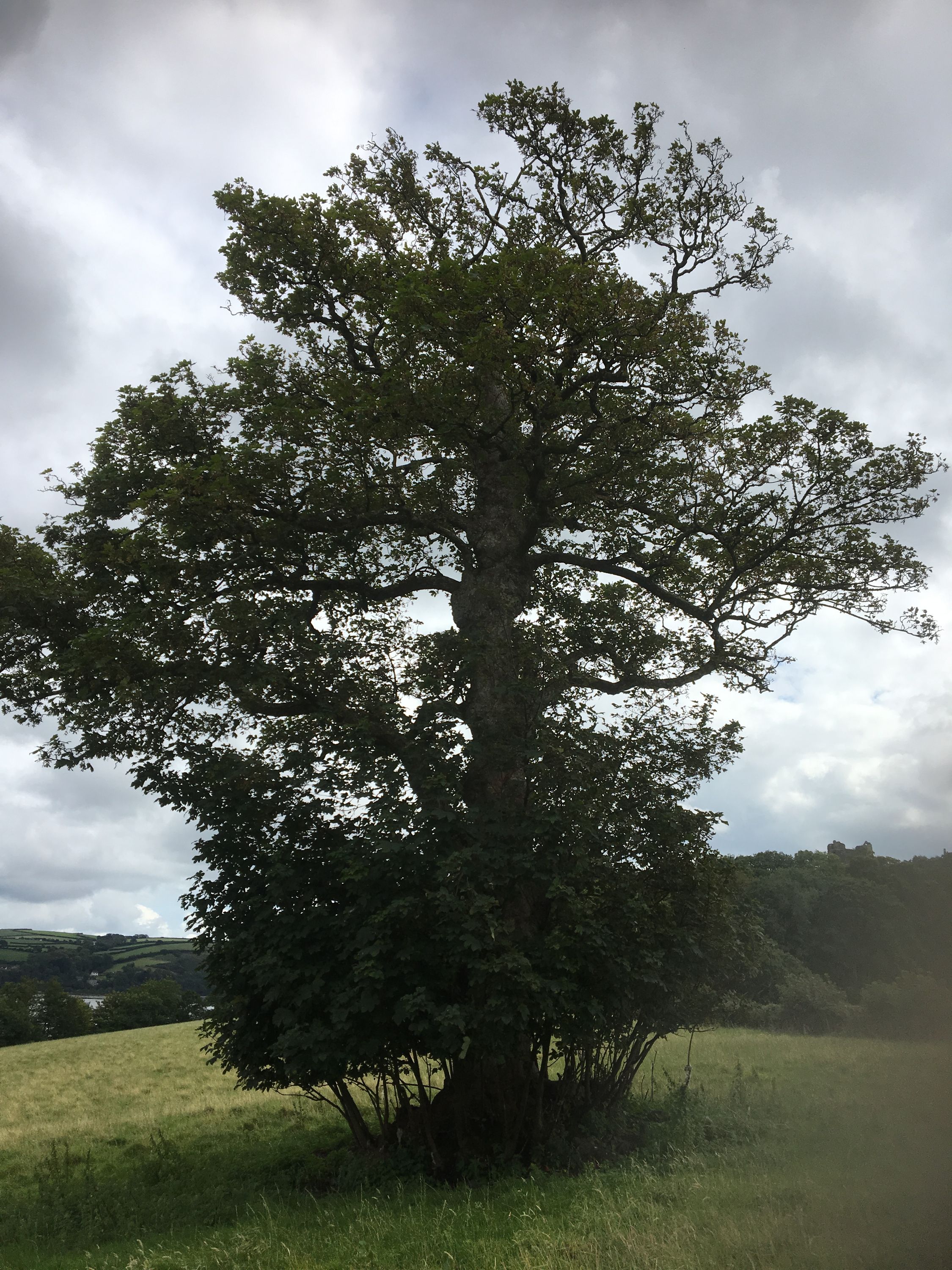 photo 11-08-2019, 14 54 15